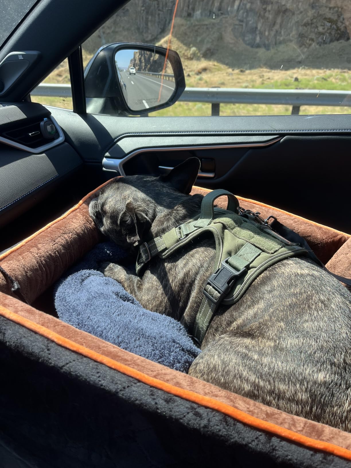 HEGGCOOE Small Dog Car Seat, Memory Foam Dog Booster Car Seats with Thick Cushion for Medium Dogs Under 35lbs, Detachable Washable Dog Bed for Car, Pet Carseat with Storage Pockets,2 Safety Belts customer photo 2