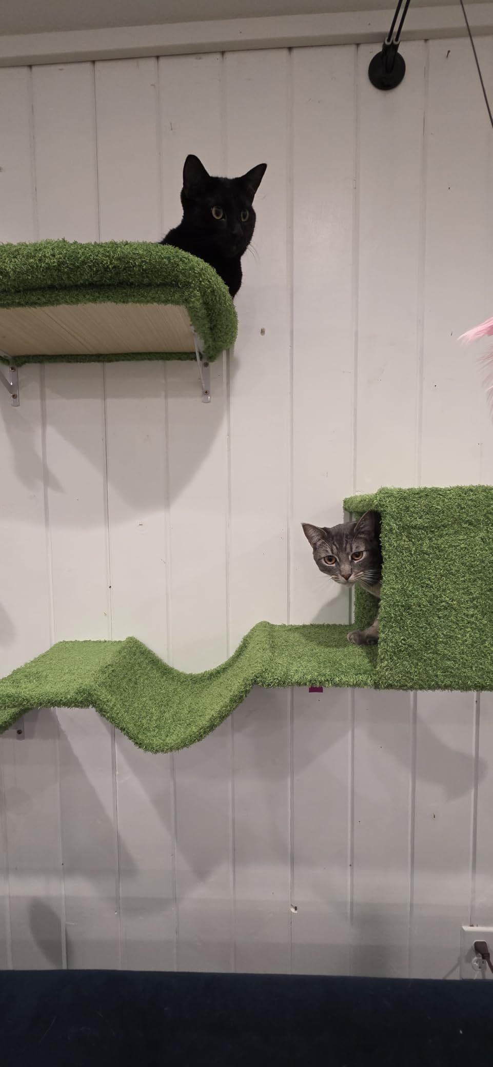 FUKUMARU Cat Wall Shelves, 4 in 1 Set, Grey customer photo 2