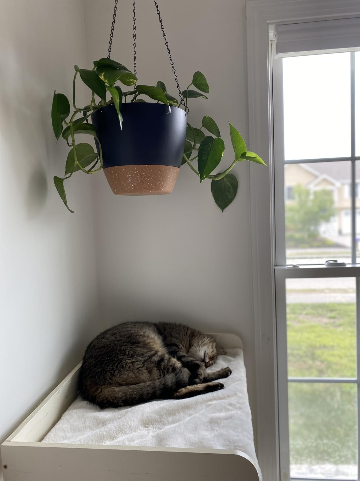 FourFurPets Modern Cat Tree for Indoor Cats Large Adult, Large Platforms customer photo 1