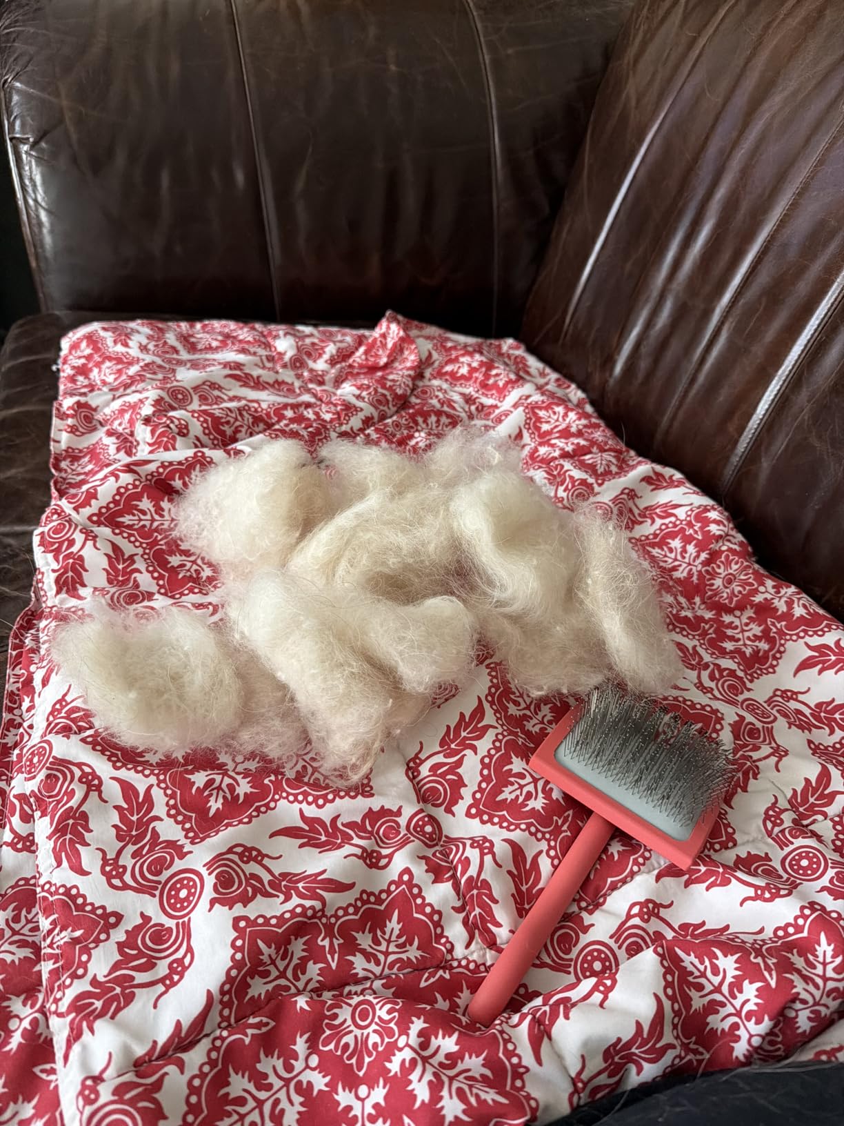 Chris Christensen Big G Dog Slicker Brush for Dogs (Goldendoodles, Labradoodles, Poodles), Groom Like a Professional, Fluff Detangle Style, Saves Time Energy, Teal, Large customer photo 2