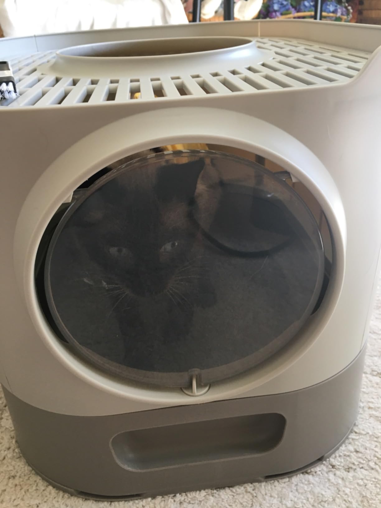 Feandrea Cat Litter Box with Lid, XL Enclosed, Slide-Out Tray, Scoop customer photo 1