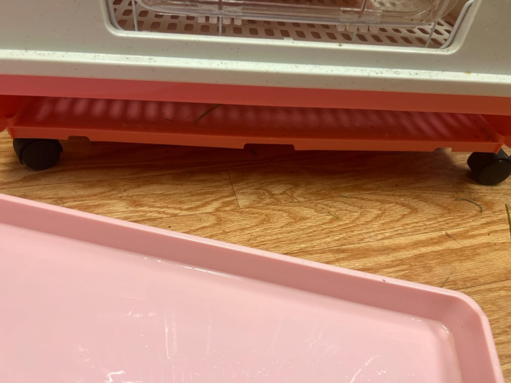 X-Large Deluxe 2-Level in/Outdoor Rabbit Hutch Cage for Ferret Squirrel Chinchilla Solid Platform Ramp Mesh Floor Deep 2-Inch Leakproof Easy Clean Deep Tray Large Access Doors Lockable Casters customer photo 2