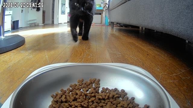 Frienhund Automatic Cat Feeder with 2K Camera: 5G WiFi Automatic Dog Feeder with Night Vision,Cat Food Dispenser with 7L Large Food Storage Container for Multiple Pet,Detachable for Easy Clean -29 Cup customer photo 1