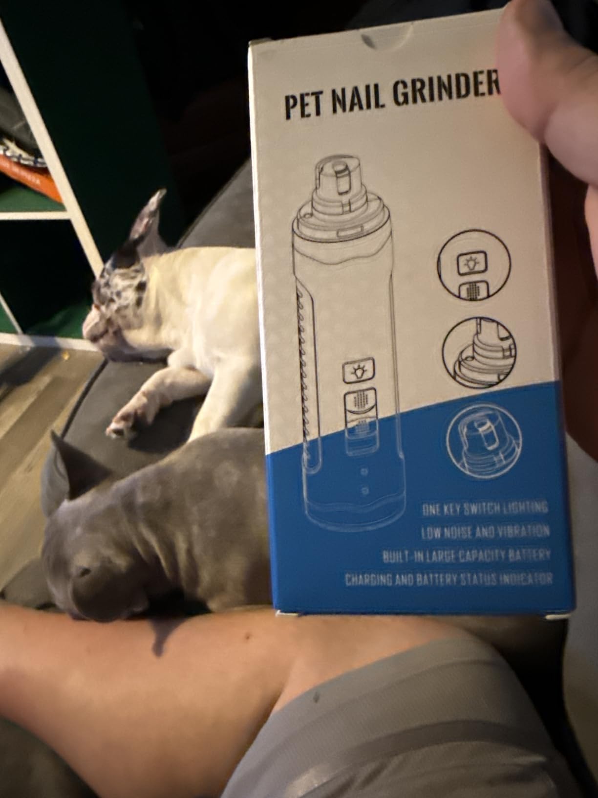 Dog Nail Grinder, Dog Nail Trimmers, and Clippers Kit with 2 LED Lights. Super Quiet Electric Pet Nail Grinder, Rechargeable, for Small, Medium, and Large Dogs & Cats, 2 Diamond Grinding Wheels. customer photo 1