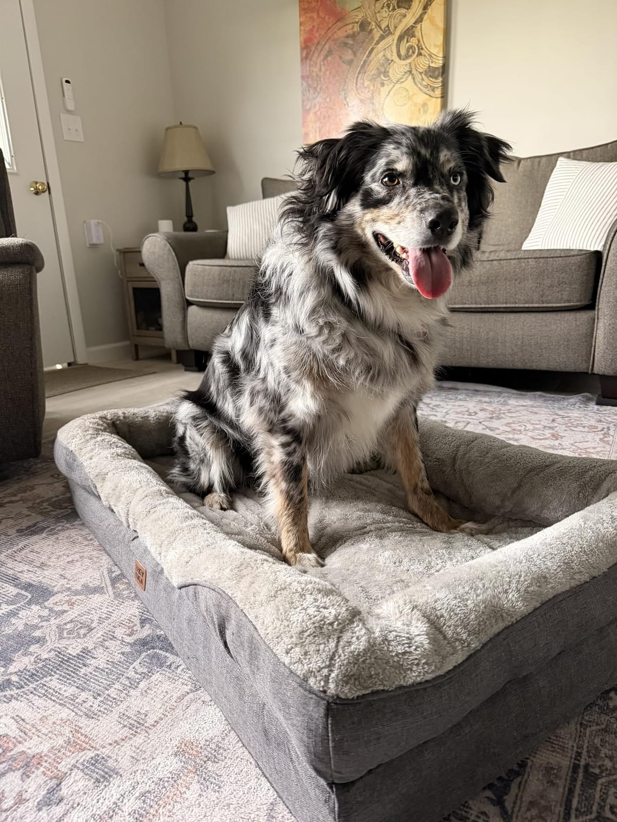 EHEYCIGA Orthopedic XL Dog Bed for Large Dog, Memory Foam Dog Couch, Grey customer photo 1