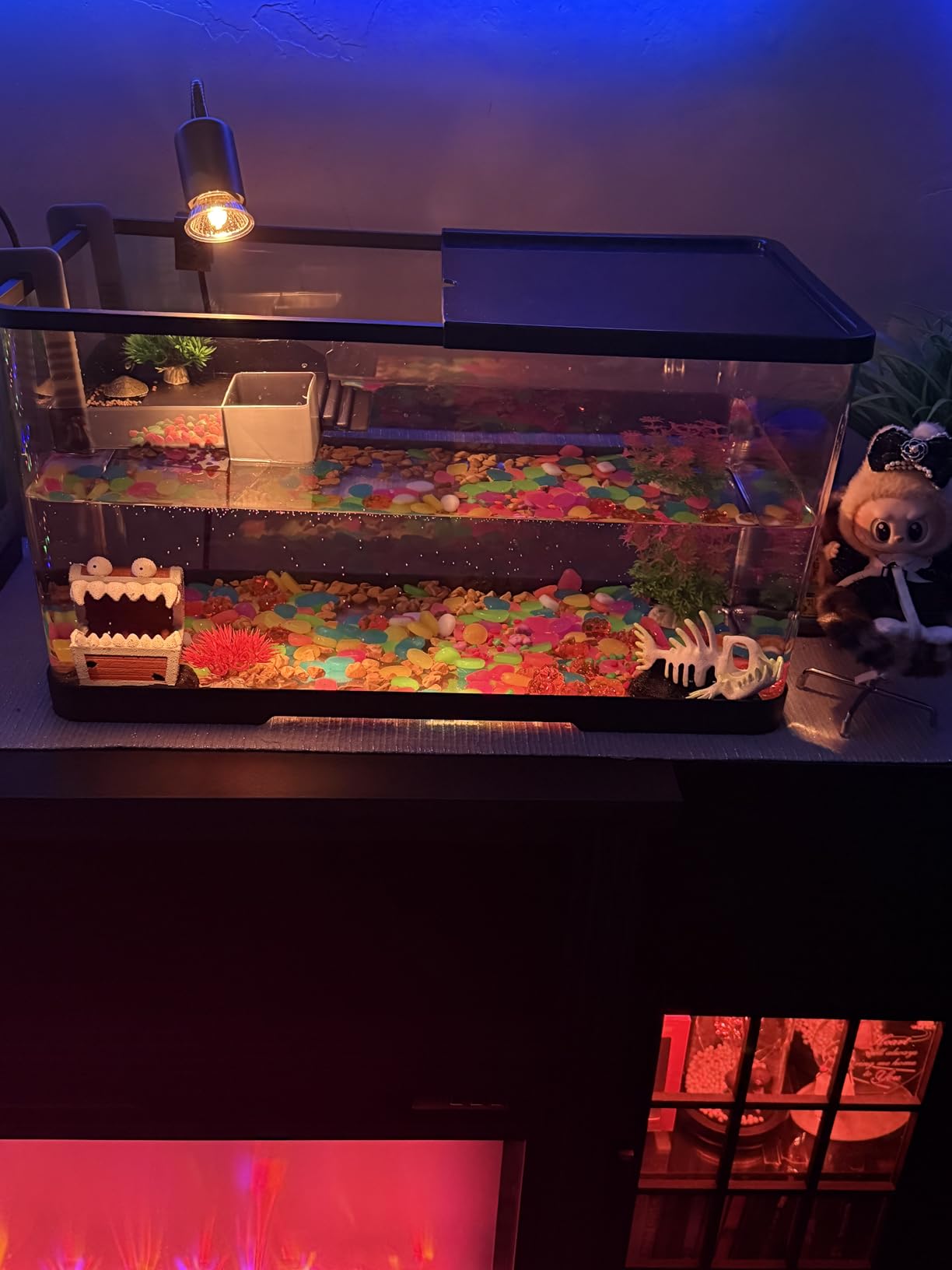 (Tank + Light + Filter + Filter Balls) Turtle Tank Kit, Turtle Tank Starter Kit,Bottom Drainage, Multi-Function Areas for Turtles, Crabs,Fishes, Amphibians,Reptiles. (21.65 × 12.28 × 12.28 Inch) customer photo 1