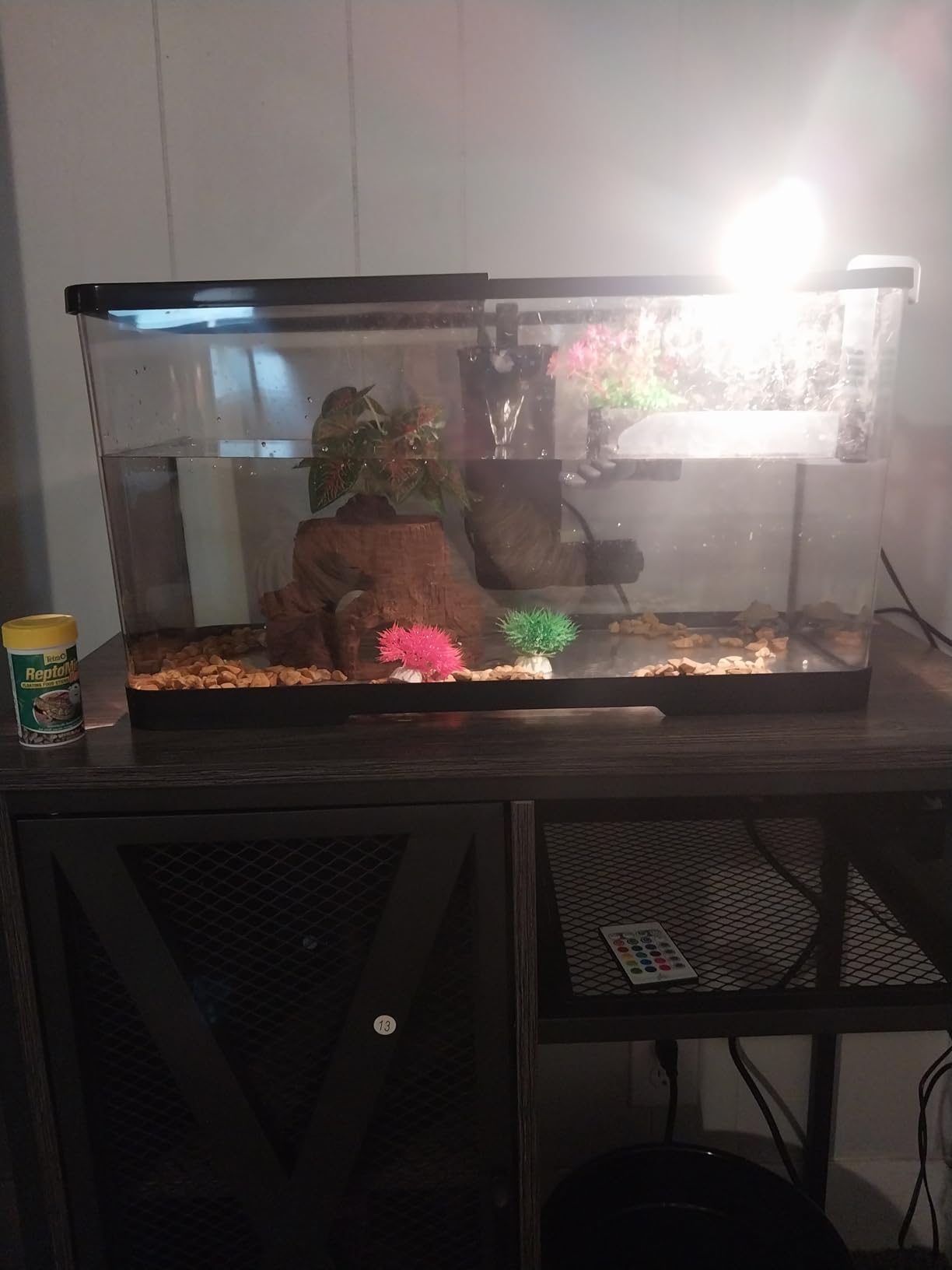 (Tank + Light + Filter + Filter Balls) Turtle Tank Kit, Turtle Tank Starter Kit,Bottom Drainage, Multi-Function Areas for Turtles, Crabs,Fishes, Amphibians,Reptiles. (21.65 × 12.28 × 12.28 Inch) customer photo 2