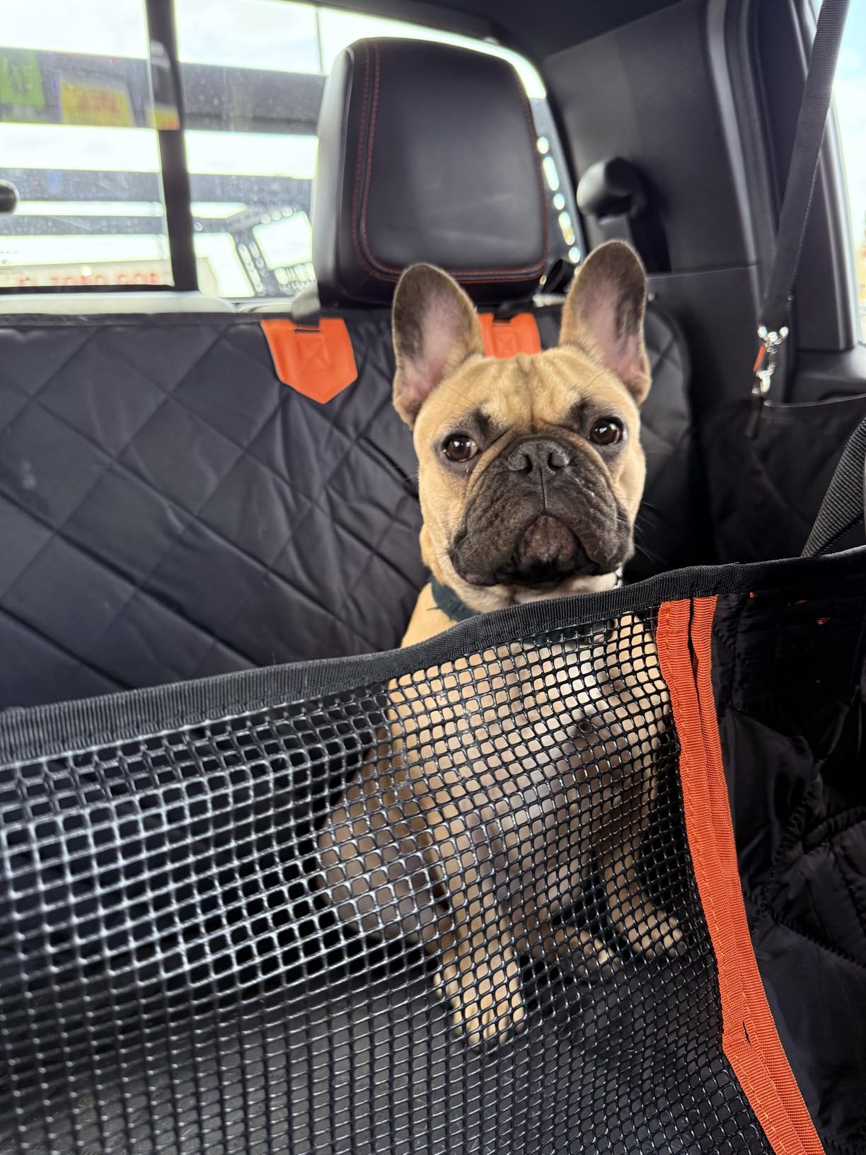 IJVAE Dog Seat Cover for Back Seat, Hard Bottom Back Seat Extender Holds 500 lbs, Waterproof & Nonslip Car Hammock for Large Pets, Comfortable Travel Seat Protector for SUV and Sedan customer photo 2