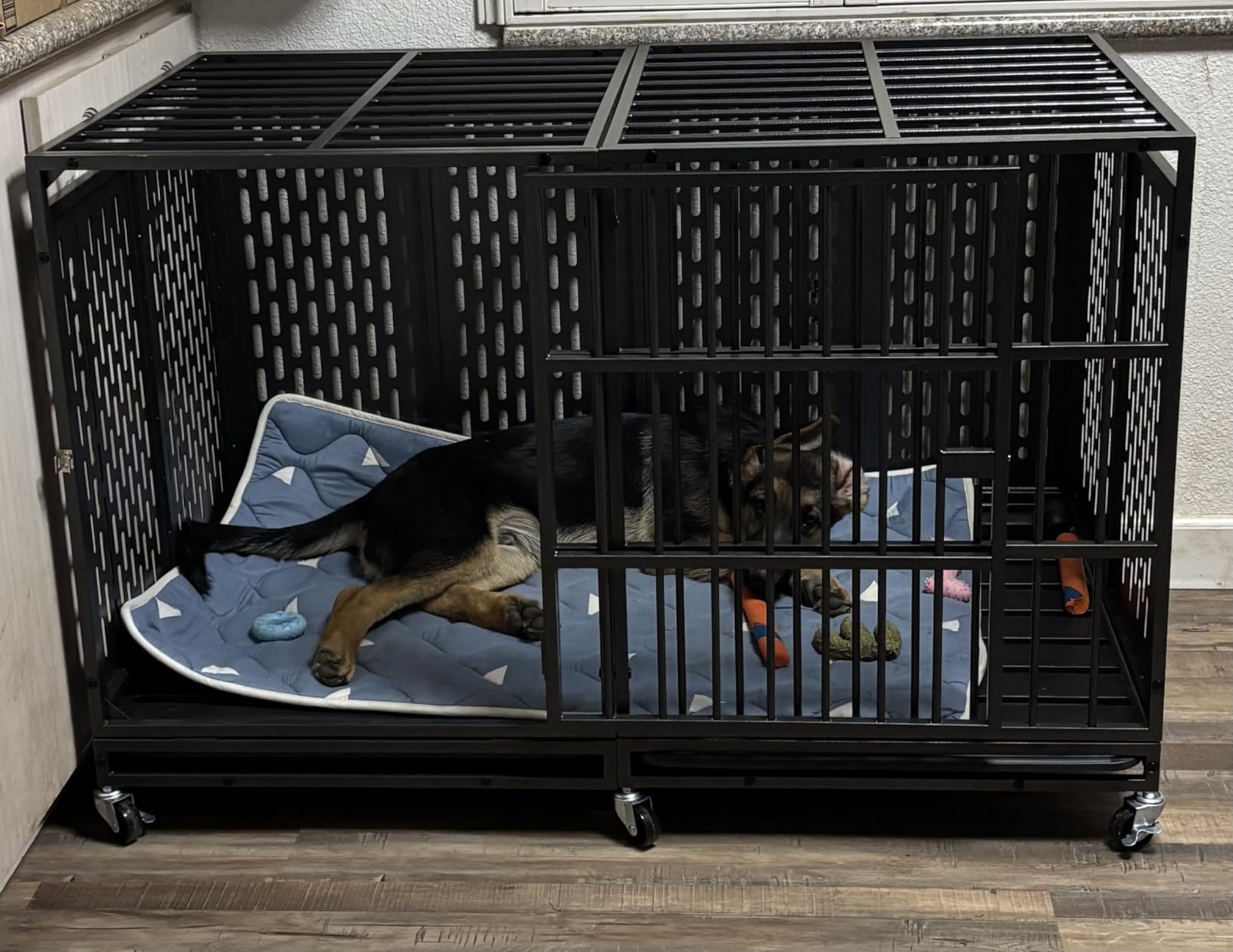 Snuowu 38 Inch Heavy Duty Dog Crate with Wheels, Metal Big Dog Cage for Large and Medium Dogs, Extra Large XL XXL Indestructible Dog Crate with Removable Tray. customer photo 2