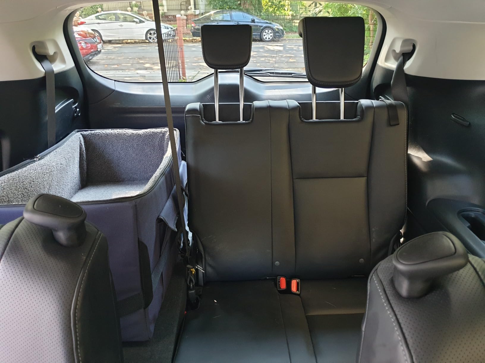 A 4 Pet Dog Car Seats for Small Dogs, Under 25 lbs, Patent Buckles customer photo 1