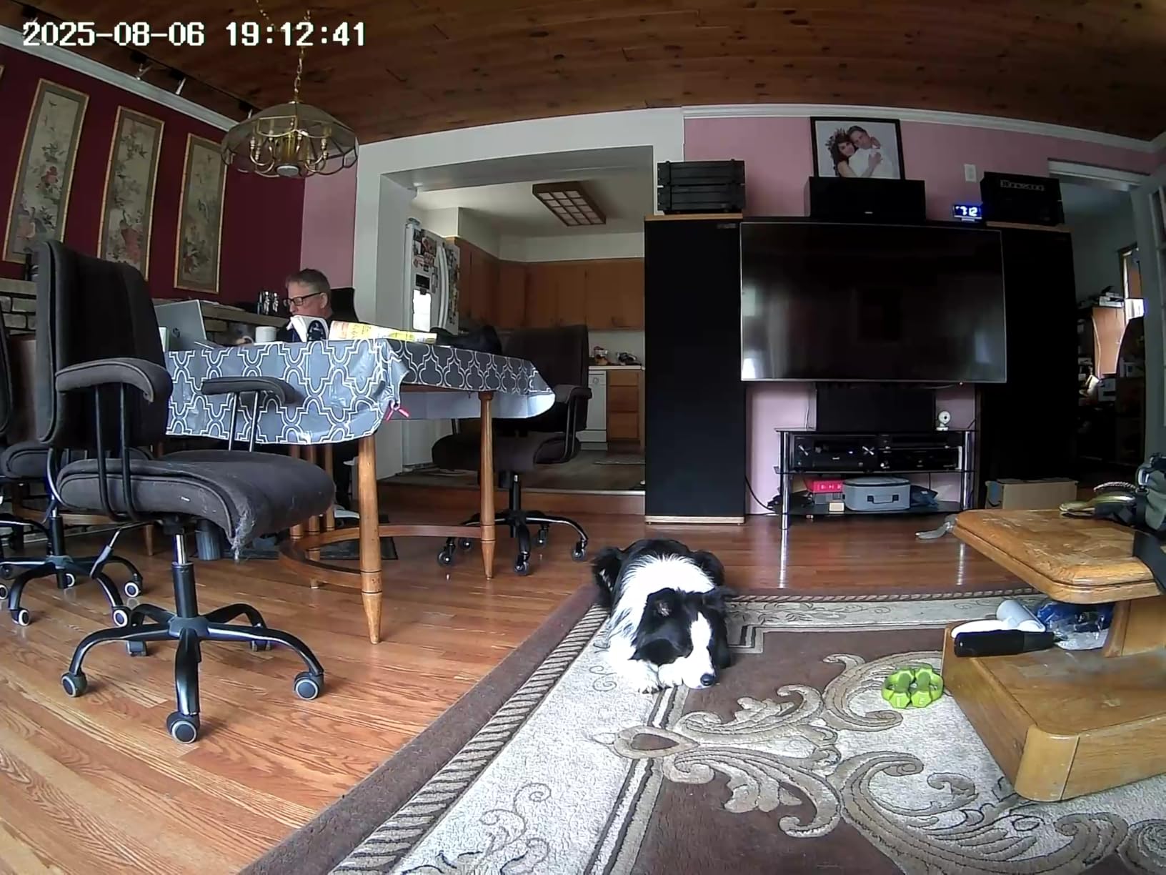 Energizer Smart Pet Treater with 2K Video Camera, 2-Way Audio, Night Vision, 5 Ghz & 2.4 Ghz Dual Band Wi-Fi, Motion Tracking, Recorded Messages, Dogs & Cats Remote Feeding, Cloud/MicroSD Card Storage customer photo 2