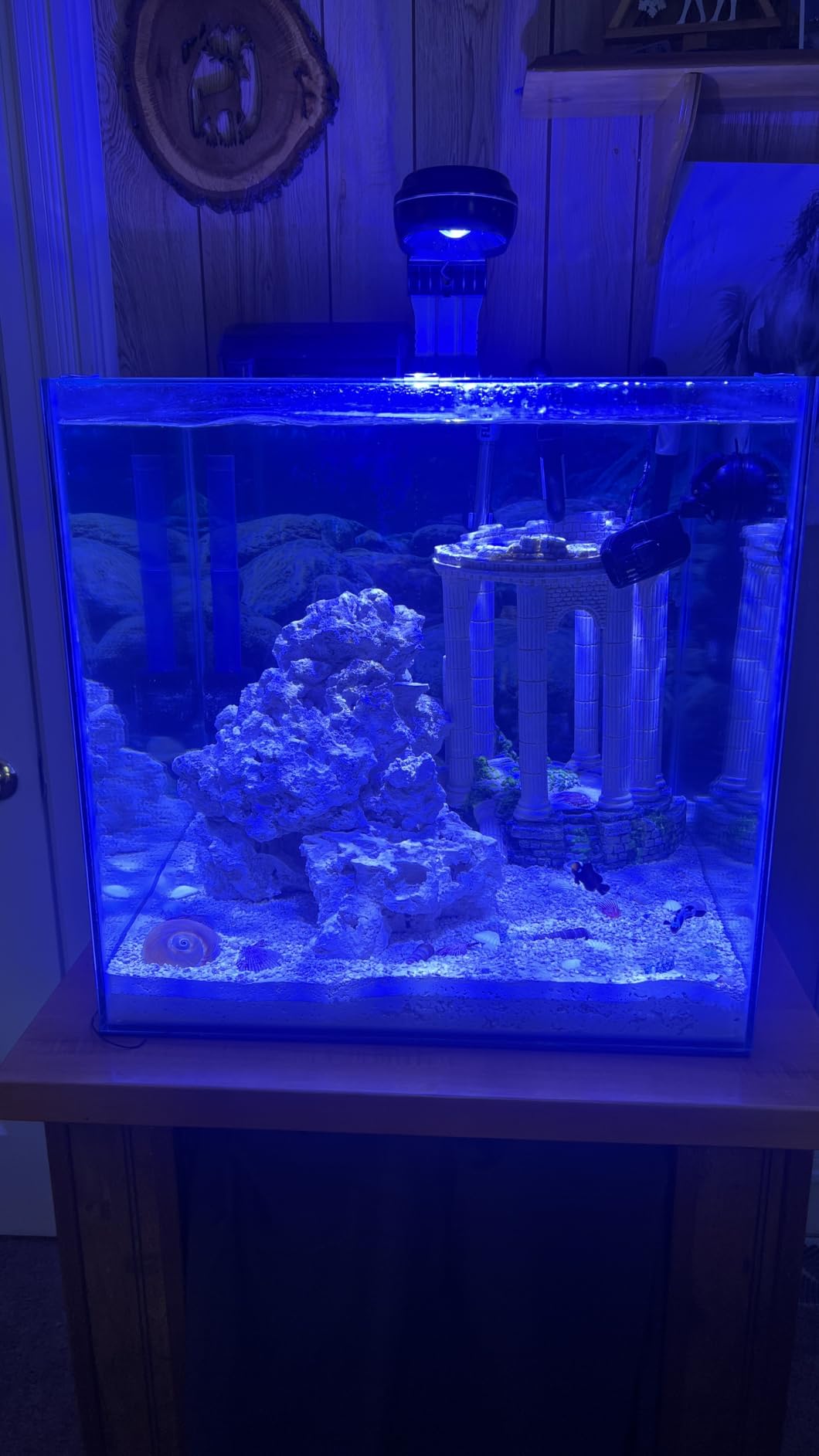 PopBloom RL60 WiFi Reef LED Light, 60W Full Spectrum Marine Reef LED Aquarium Lighting for Soft/LPS Corals & Saltwater Fish Nano Tanks, Built-in Timer, WiFi Phone Programmable, Sunrise Sunset customer photo 2