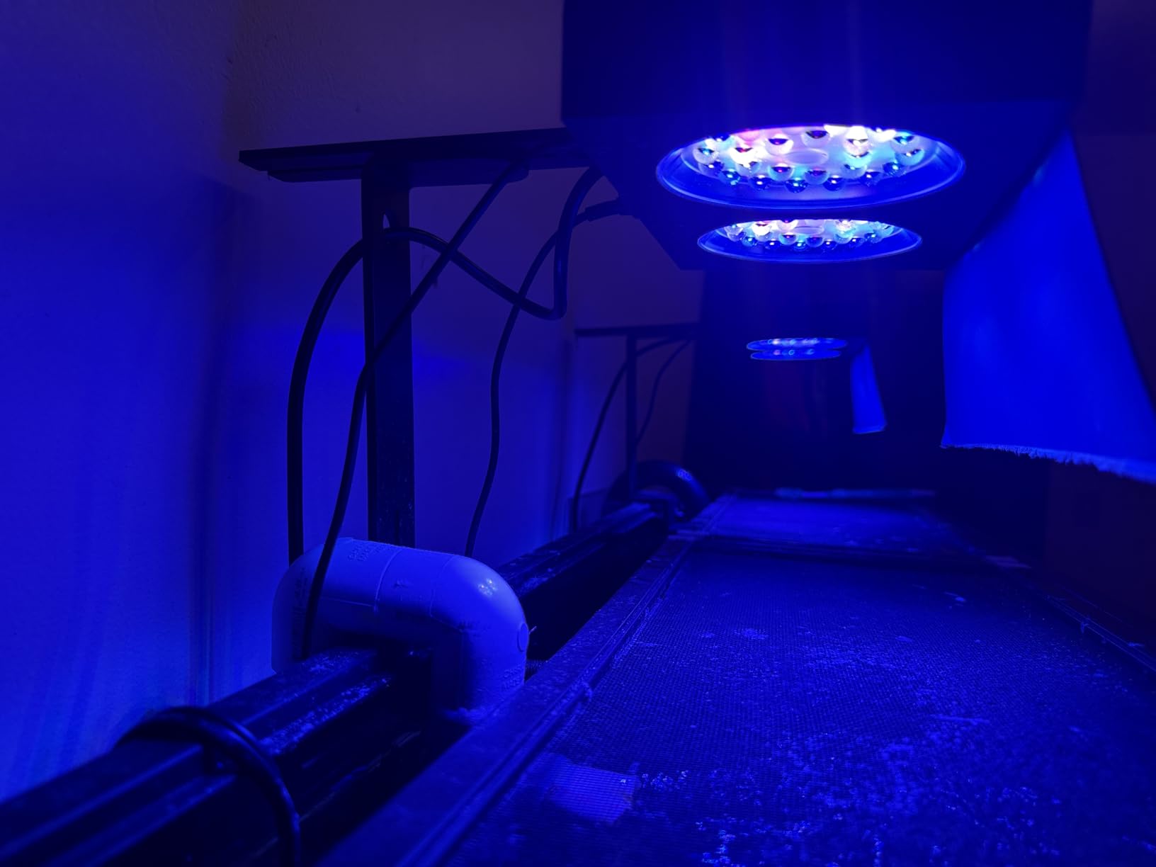 NICREW NavaReef 65 Reef LED Light, 65W Reef Aquarium Lighting for Soft/LPS Corals and Saltwater Fish Tanks, Built-in Timer, Blue Focused Spectrum customer photo 1