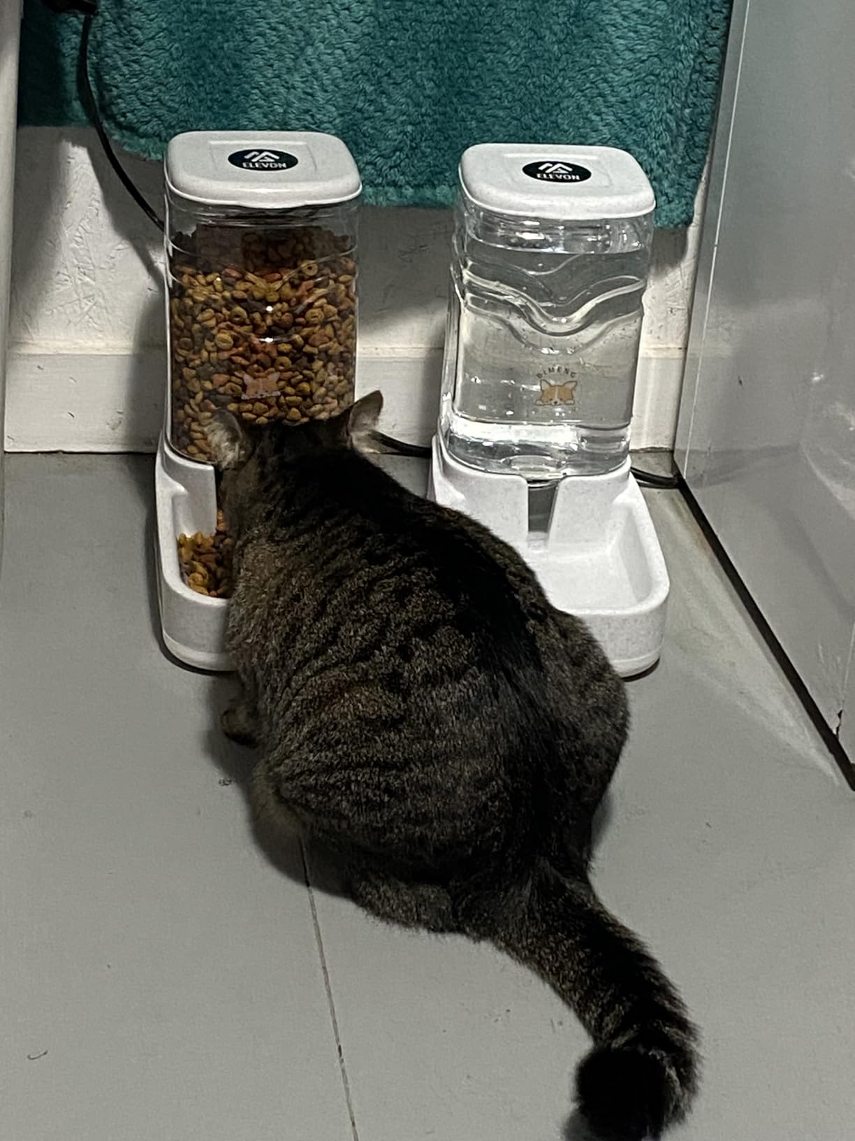 Elevon Automatic Cat Feeder, Gravity Food and Water Dispenser Bowl Set for Small Medium Dogs Animals, Pet Feeder Dispenser Storage Food, 3.8L Large Capacity, Black customer photo 1