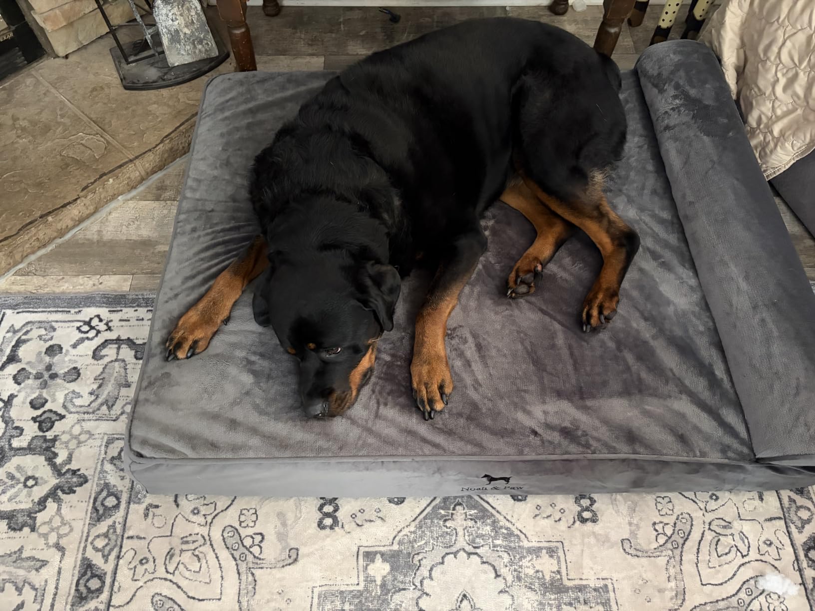 NOAH & PAW XL Dog Bed Orthopedic Memory Foam Cooling Gel 45x35x9.1 in customer photo 2