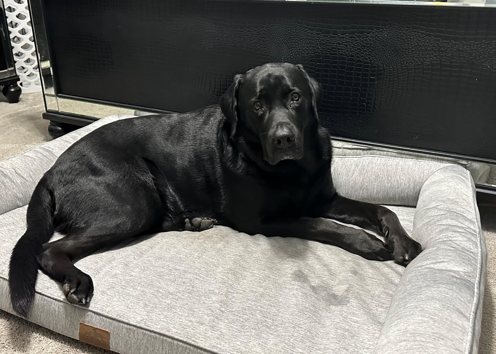 COZY KISS Cooling Dog Bed for Extra Large Dogs, 48