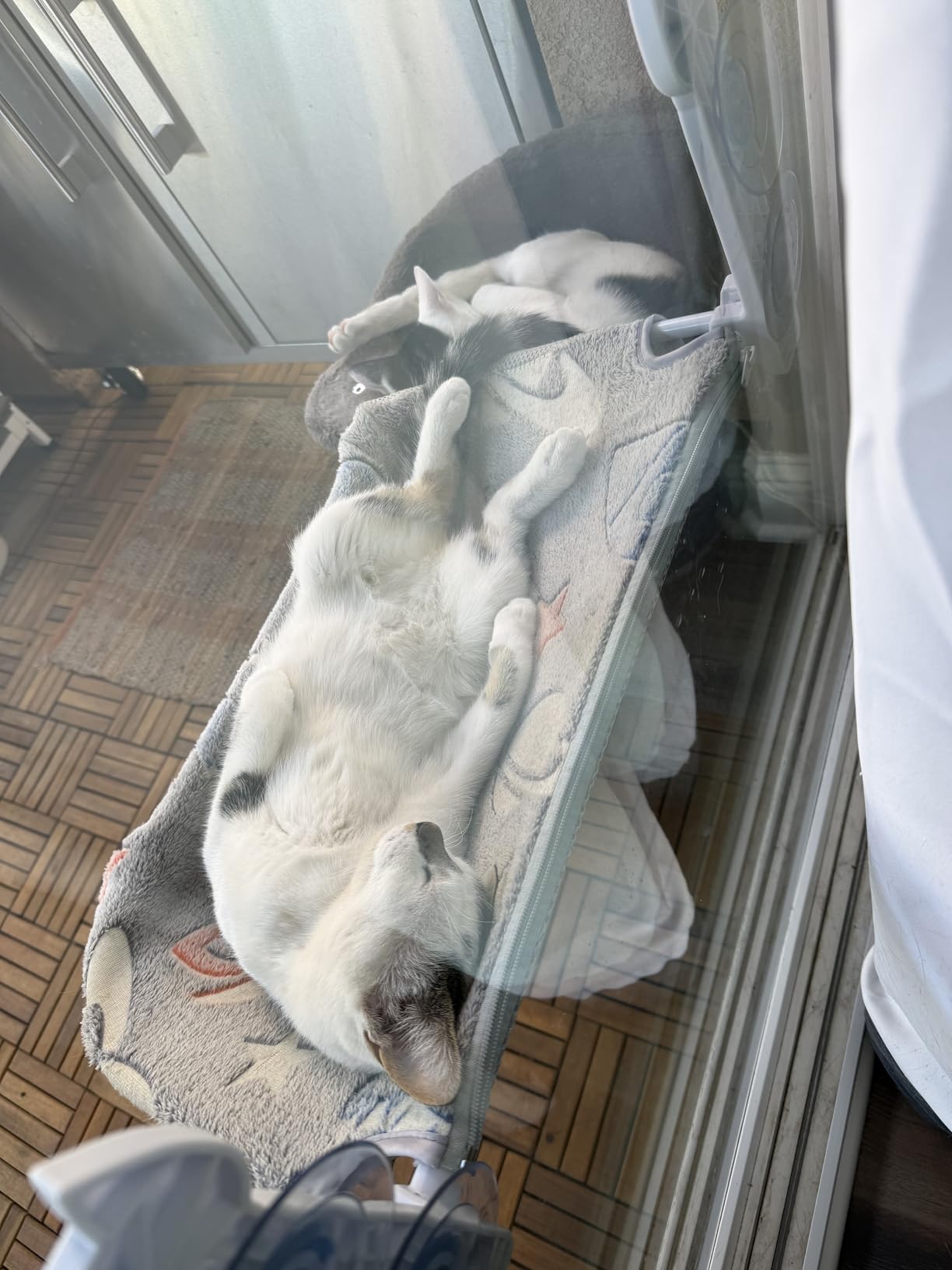 HiPetpy 2-Pack Large Cat Window Perch, Cordless Foldable Cat Hammock customer photo 2