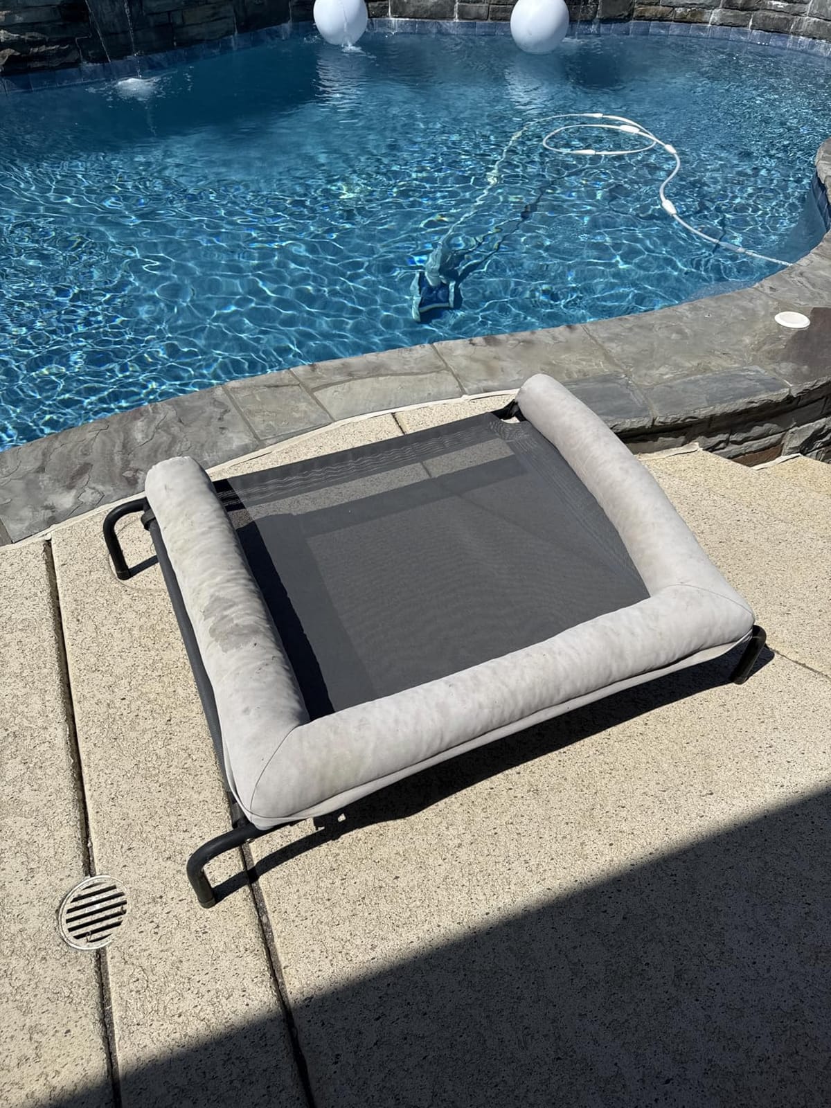 RRPETHOME Elevated Cooling Dog Bed,Raised Dog Cots Beds for Large Dogs,Outdoor Pet Bed for Large Dogs,Chew Proof Portable Cooling Pet Cot Skid-Resistant Feet,Frame with Breathable Mesh customer photo 2