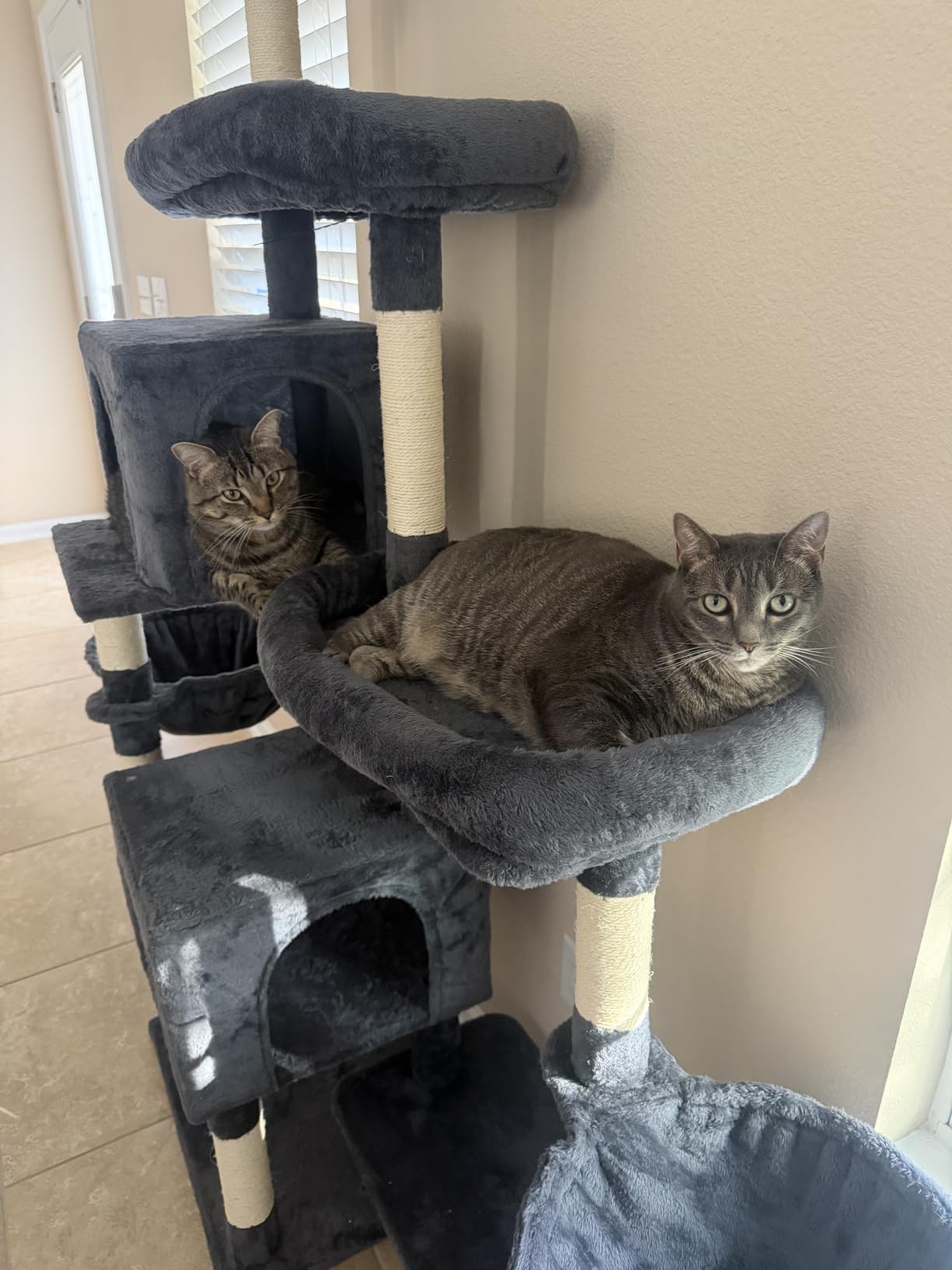 Hey-brother Cat Tree Tower with Stable Extended Base, 3 Platforms, MPJ038W customer photo 2