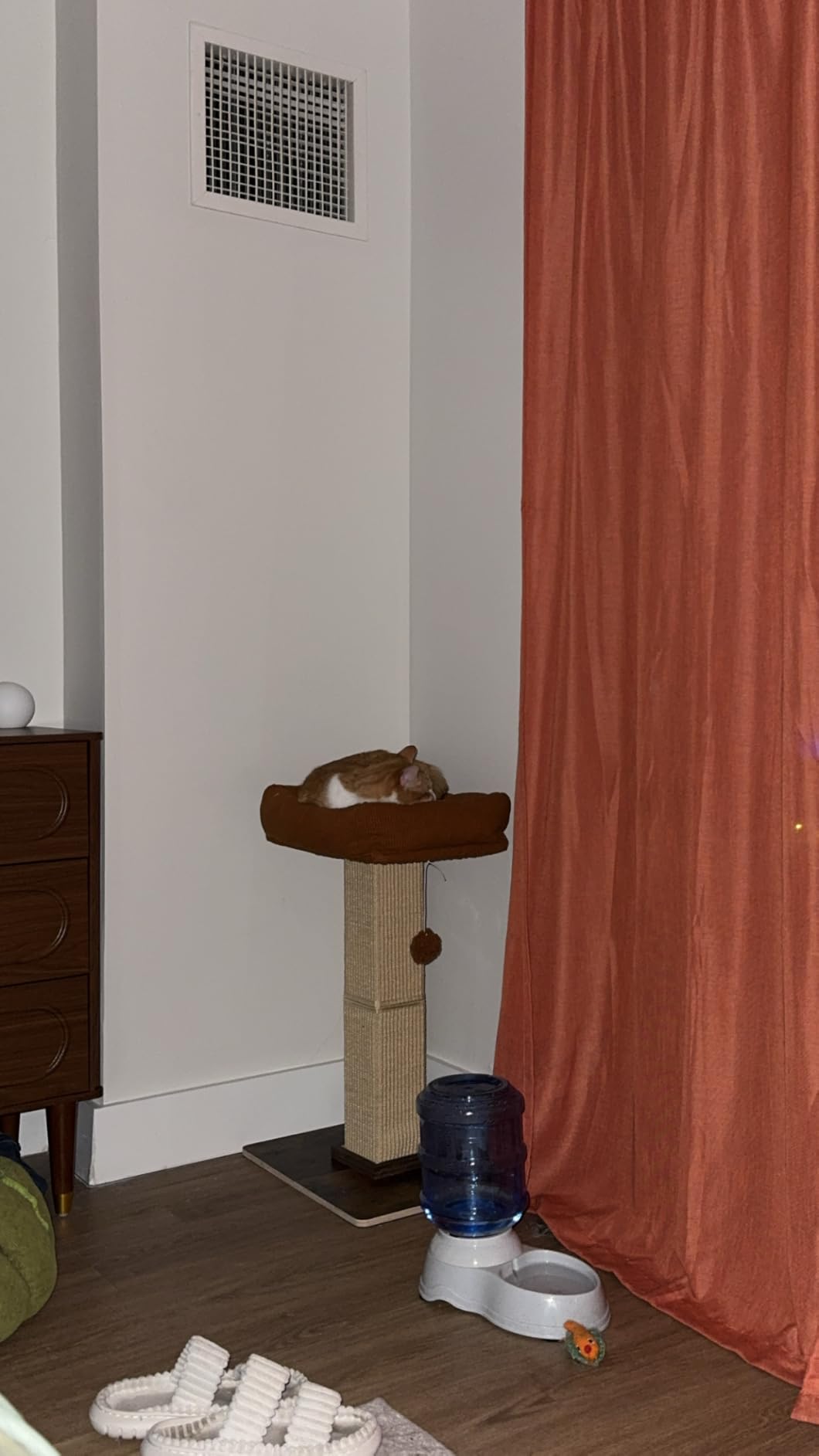 FUKUMARU Retro-Style Cat Scratching Post with Perch for Indoor Adult Cats customer photo 2