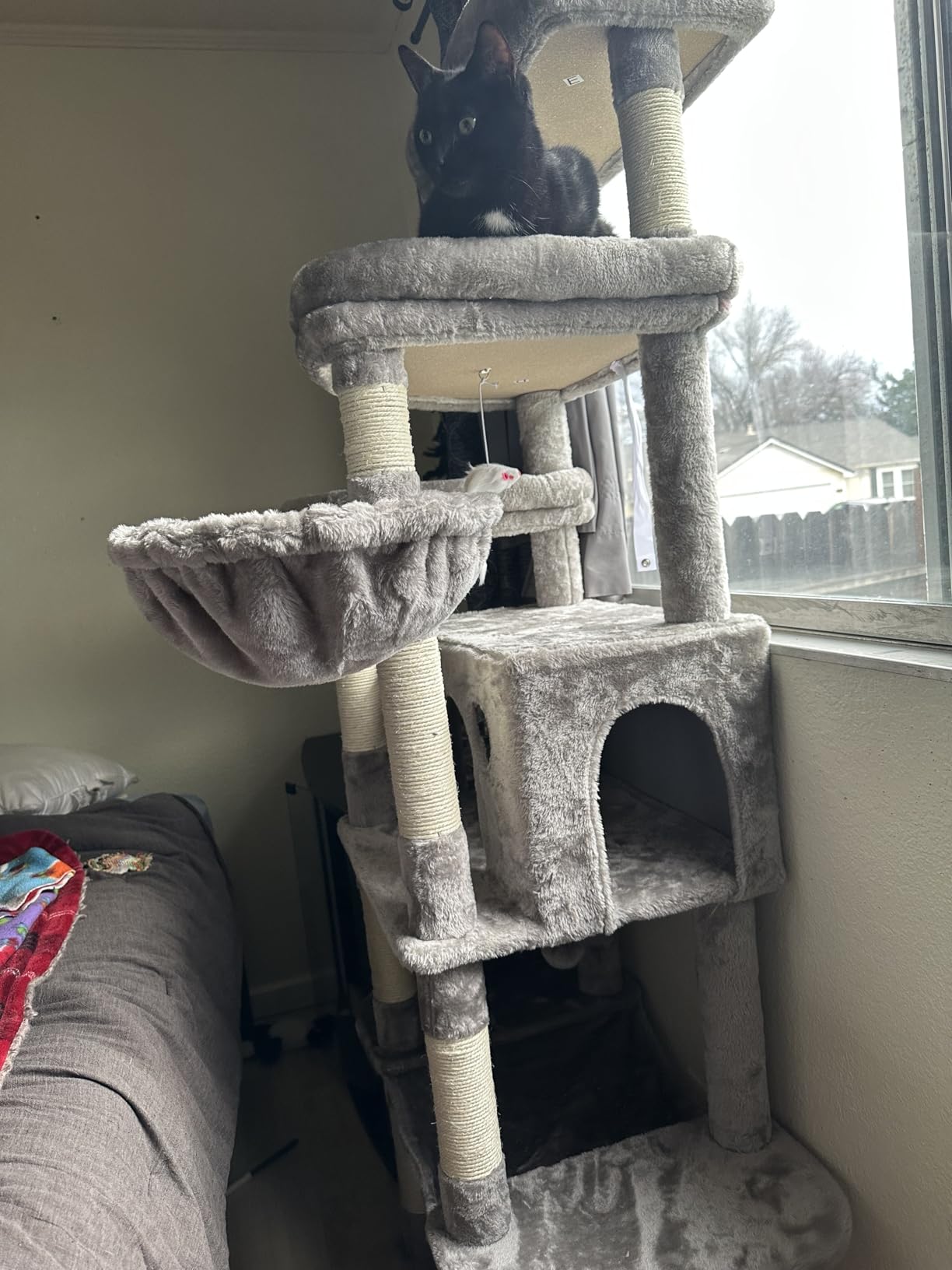 Taoqimiao Heavy-Duty Cat Tree, 71 in Cat Tower for Large Cats 20lbs+ customer photo 2