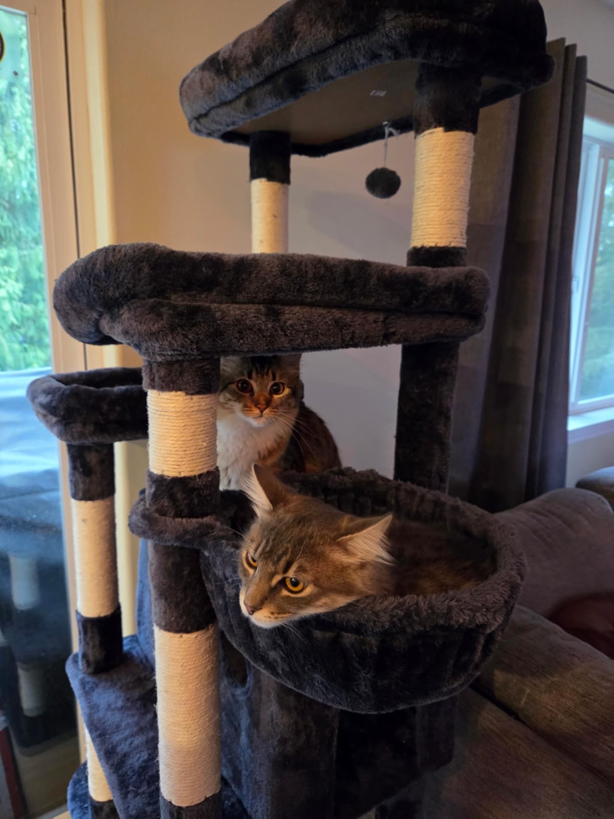 Taoqimiao Heavy-Duty Cat Tree, 71 in Cat Tower for Large Cats 20lbs+ customer photo 1