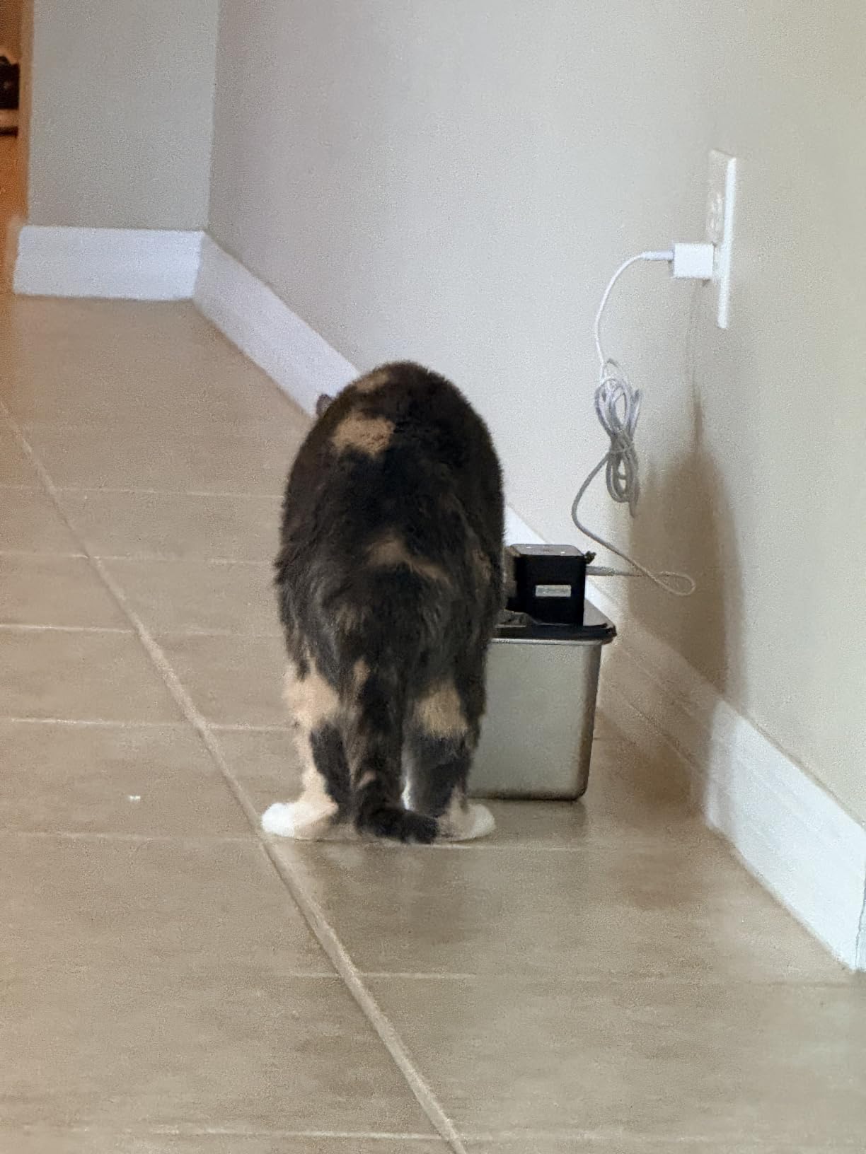 Cordless Cat Water Fountain : [Visual Filter] & [Heavy-Duty Stainless Steel] 3.2L/108oz, FEELNEEDY- Premium, Durable Design, 4000mAh Battery Operated Pet Fountain with Sensor, FN-W17 for Cats and Dogs customer photo 2