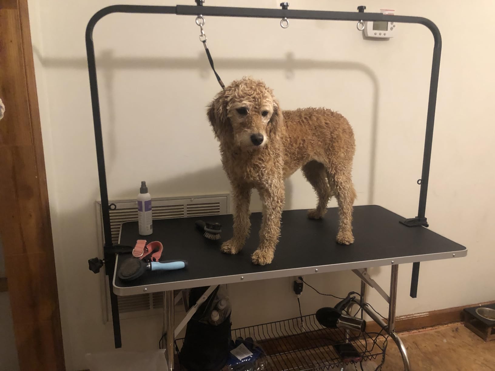 SHELANDY 46-in Dog Grooming Table for Large Pets customer photo 2