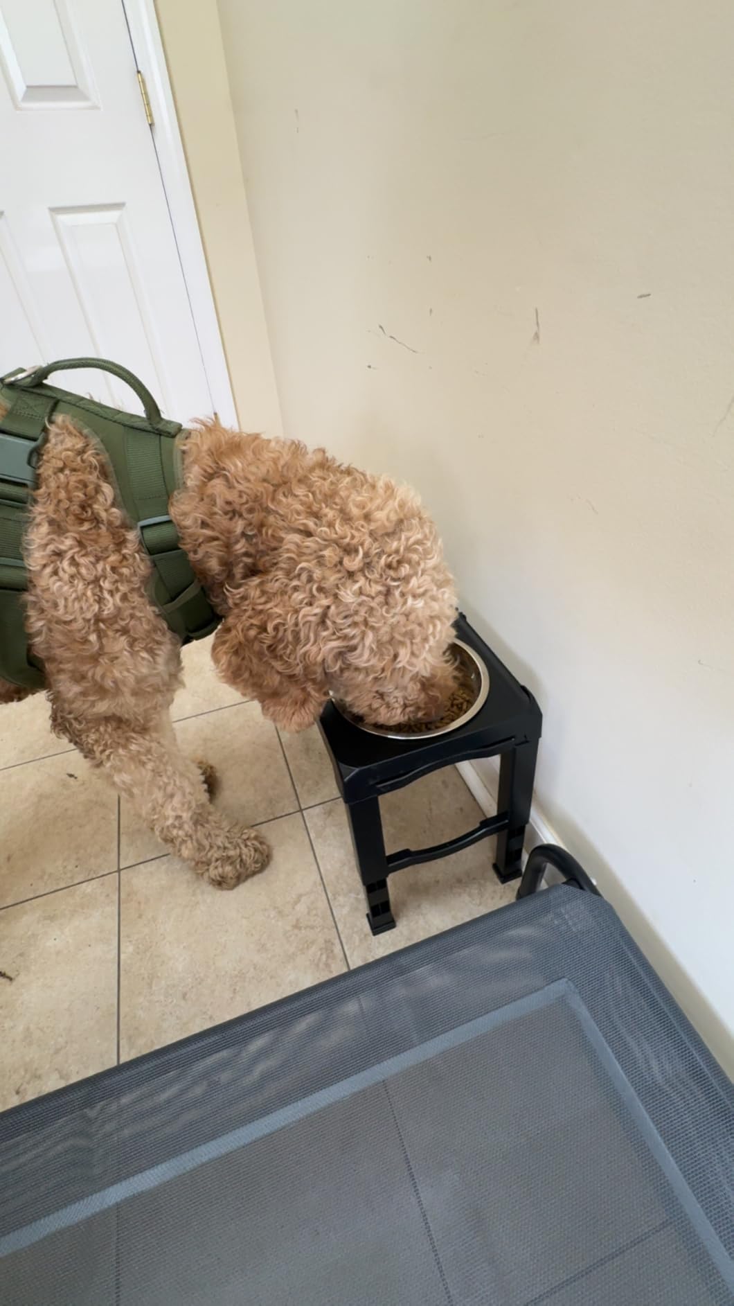 Elevated Dog Bowls for Large Dogs 5 Adjustable Heights 7.5