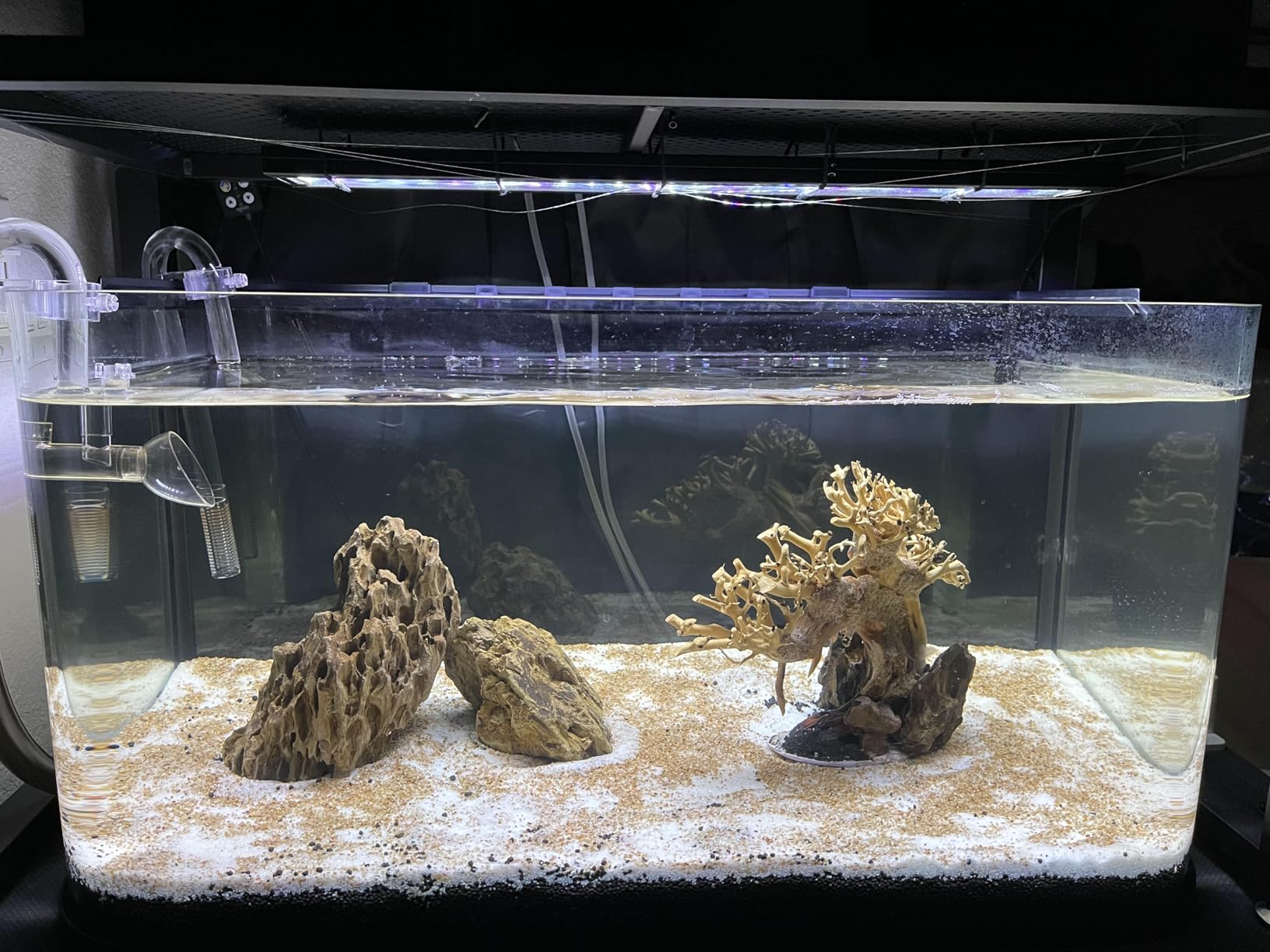 GloFish Glass Aquarium Kit, 20 Gallons, Includes Premium Blue, LED Light Stick & Integrated Filtration, Perfect for Beginners or Seasoned Hobbyists, Seamless, Curved Design customer photo 2