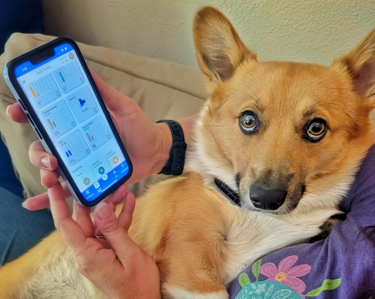 NEW Dog Health Monitor V3.0 by PetPace – AI Smart Collar with 24/7 Vital Signs, Pain & GPS Tracking, Telehealth AskaVet & Share With Your Vet, Smartwatch Sync – Subscription Required (Large) customer photo 1