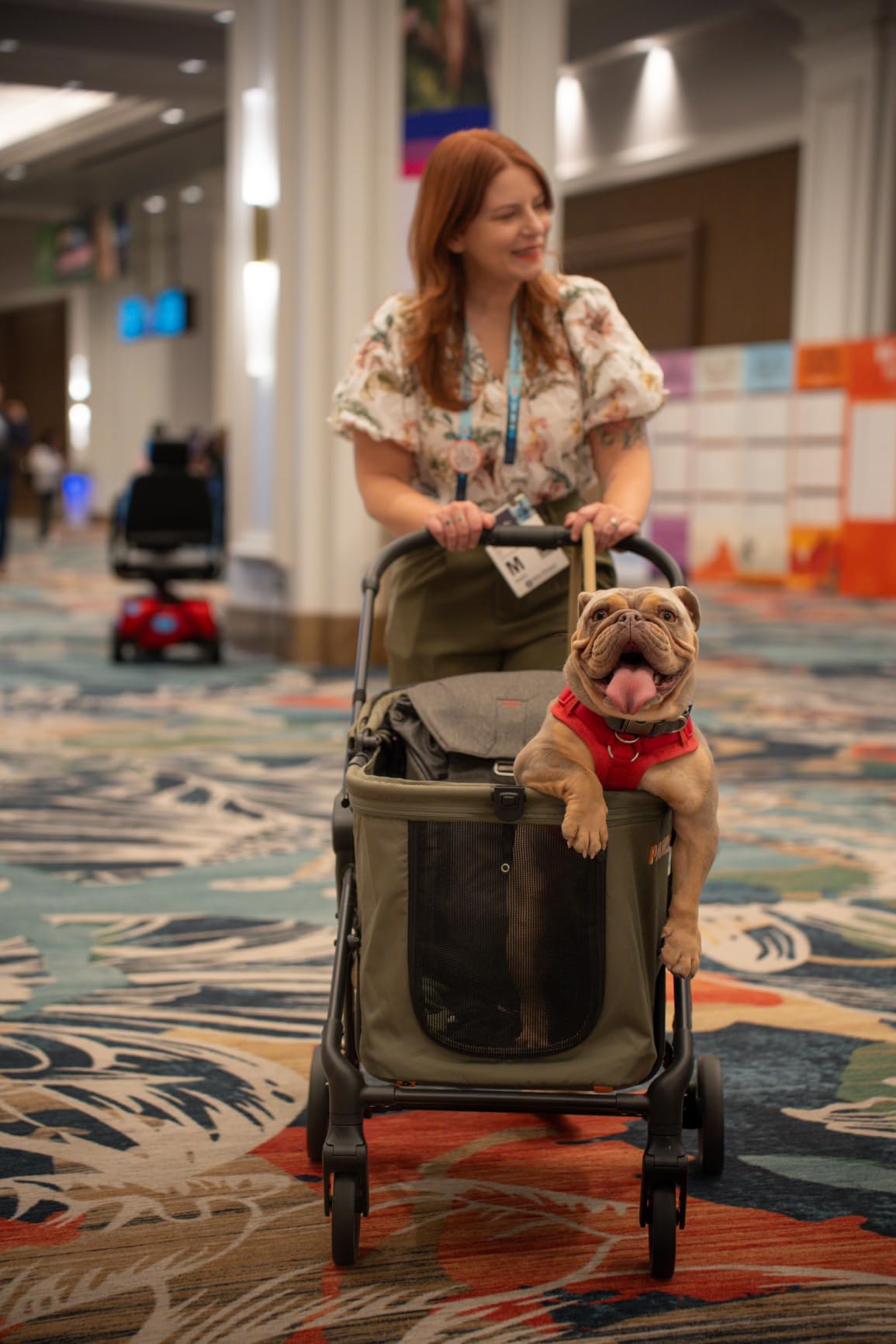 PAWZIDEA Pet Stroller for Medium to Large Dogs, One-Hand Foldable,Low-Entry customer photo 1