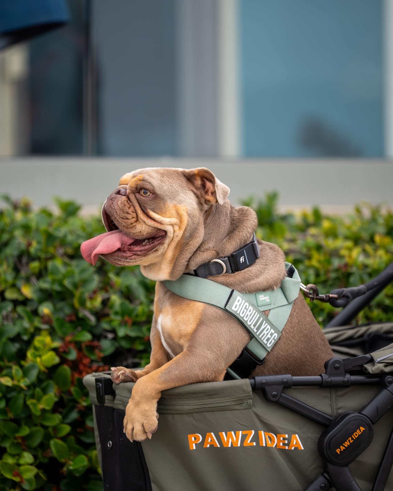 PAWZIDEA Pet Stroller for Medium to Large Dogs, One-Hand Foldable,Low-Entry customer photo 2
