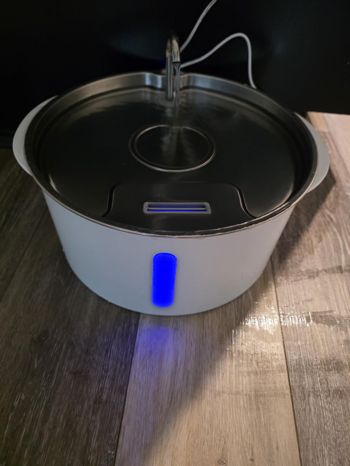 Pektaco Dog Water Fountain for Large Dogs, Stainless Steel Tray, 1 Filter customer photo 1