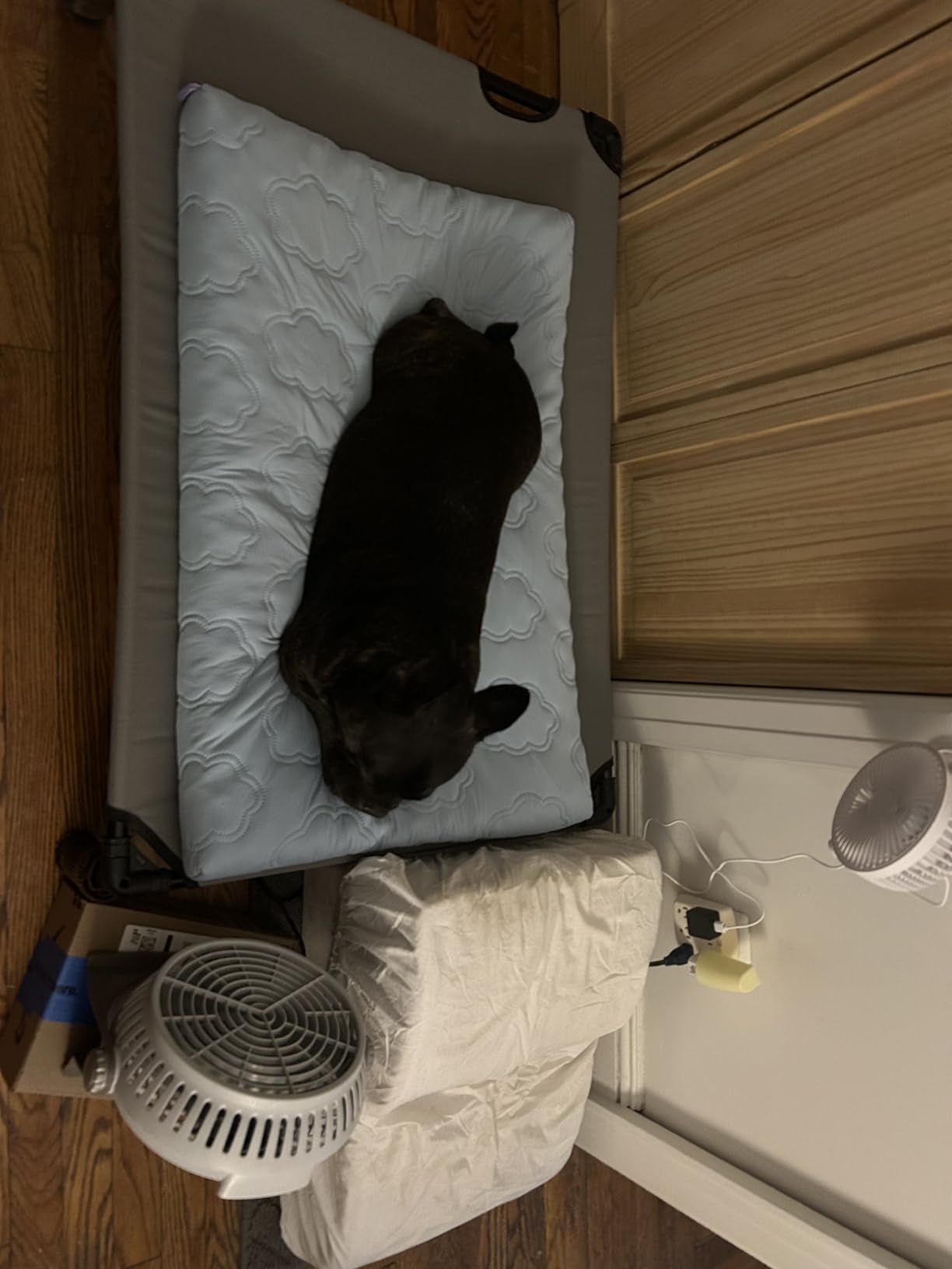 LE SURE ApexCloud™ Cooling Dog Bed for Large Dogs with Washable Cover,35IN customer photo 1