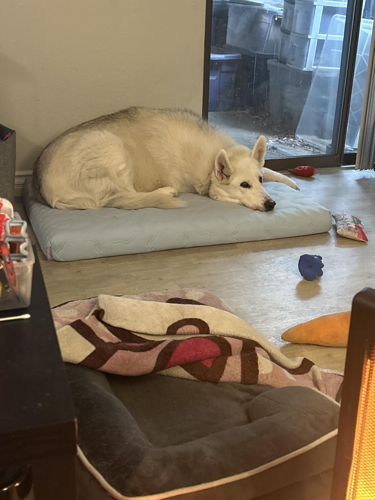 LE SURE ApexCloud™ Cooling Dog Bed for Large Dogs with Washable Cover,35IN customer photo 2