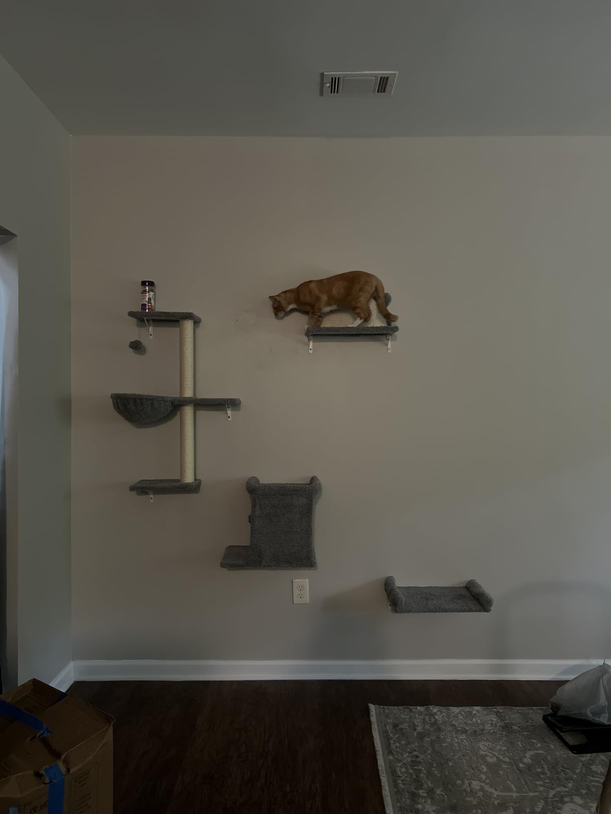 5-in-1 Cat Wall Shelves, Solid Wood Cat Wall Furniture Set for Indoor Cats customer photo 2