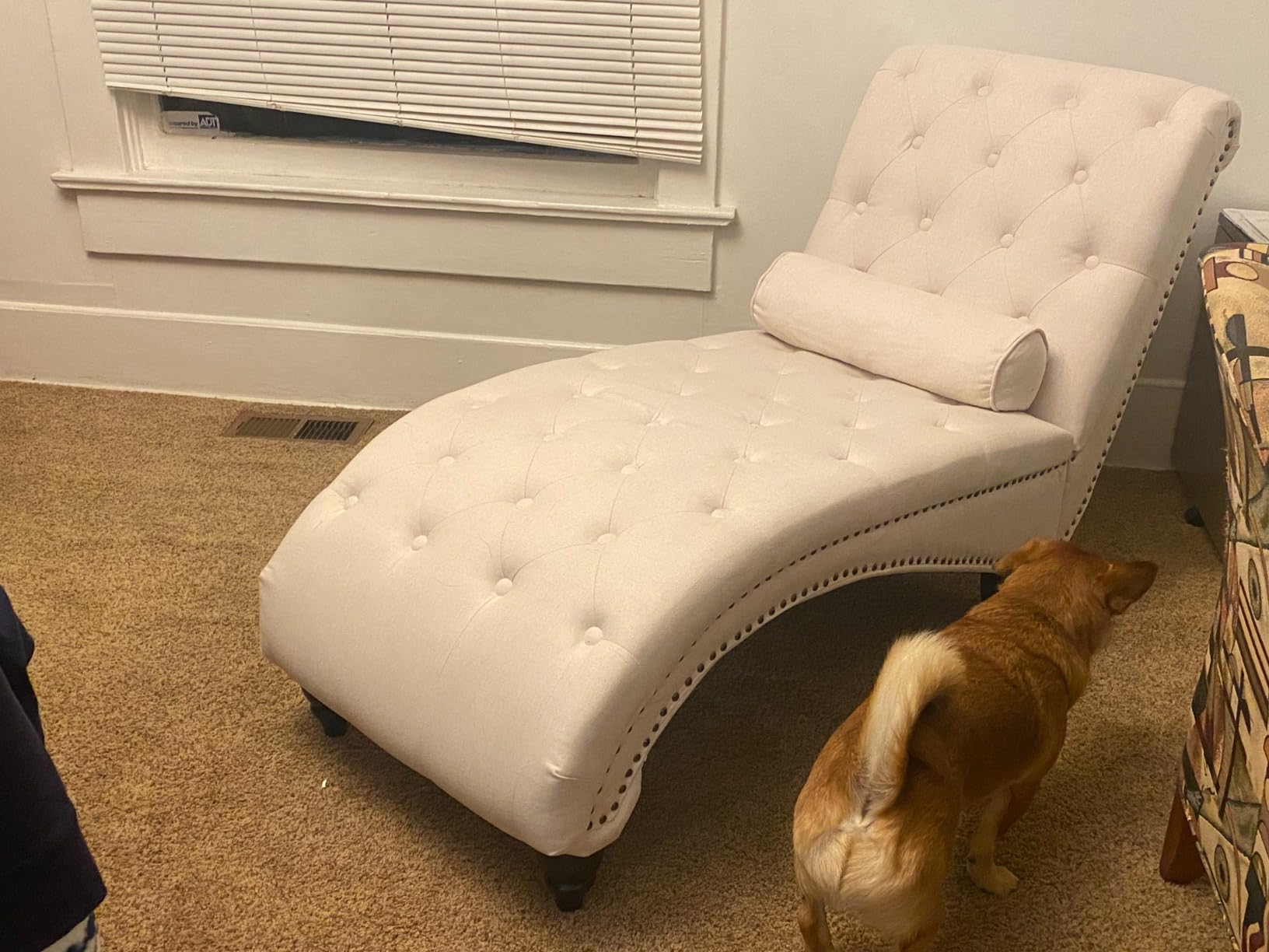 Iroomy Right Chaise Lounge Indoor with Storage,Beige customer photo 2