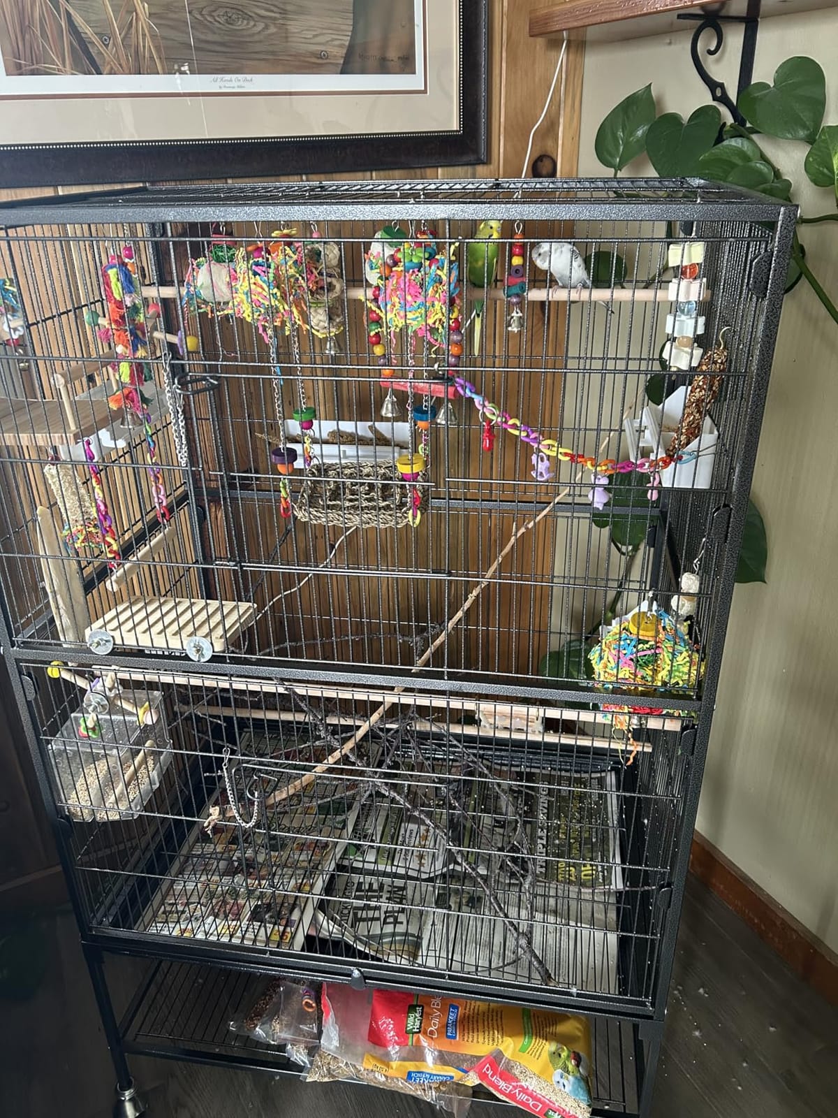 VEVOR Bird Cage, 24.6 x 16.7 x 53.9 inch, Flat Top, Wrought Iron Bird Flight Cage with Perches, Slide-Out Tray and Plastic Feeders, Casters, for Parrot, Blue Tit, Cockatiel, Canary, Budgerigar, Conure customer photo 1