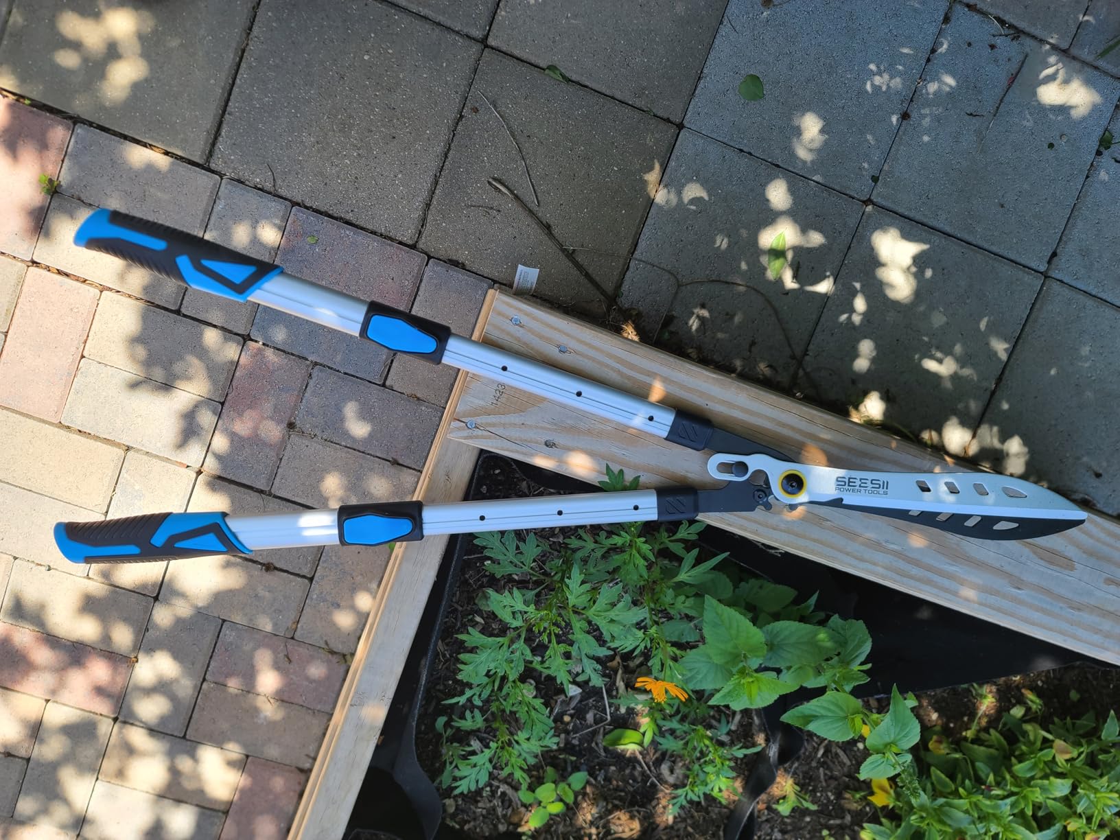 SEESII 2-in-1 Pole & Cordless Hedge Trimmer, 20