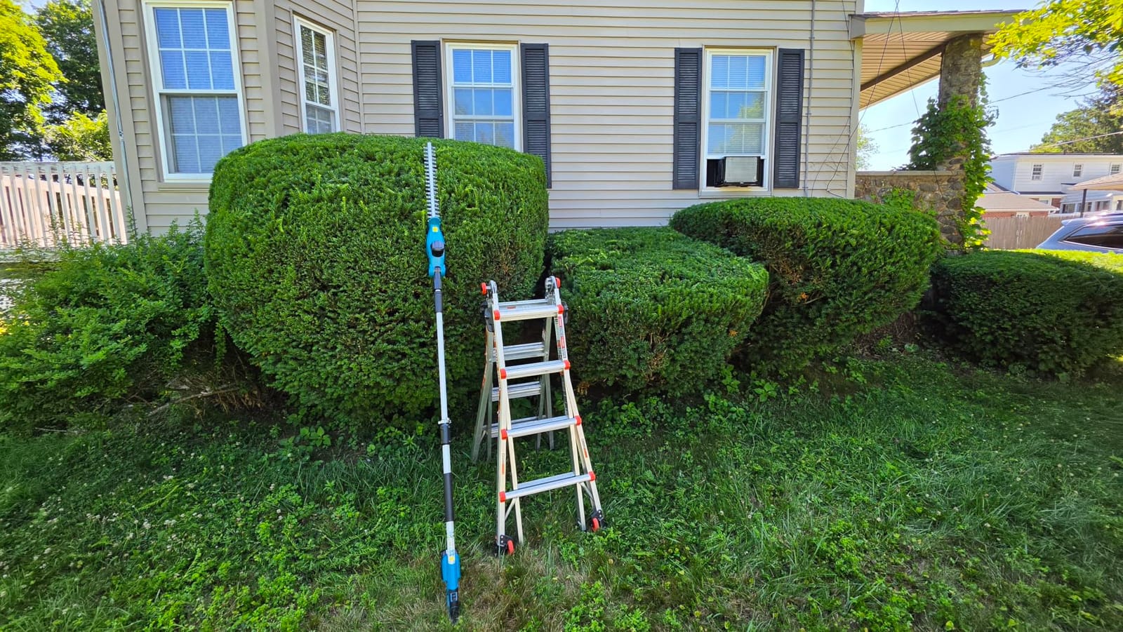 SEESII 2-in-1 Pole & Cordless Hedge Trimmer, 20