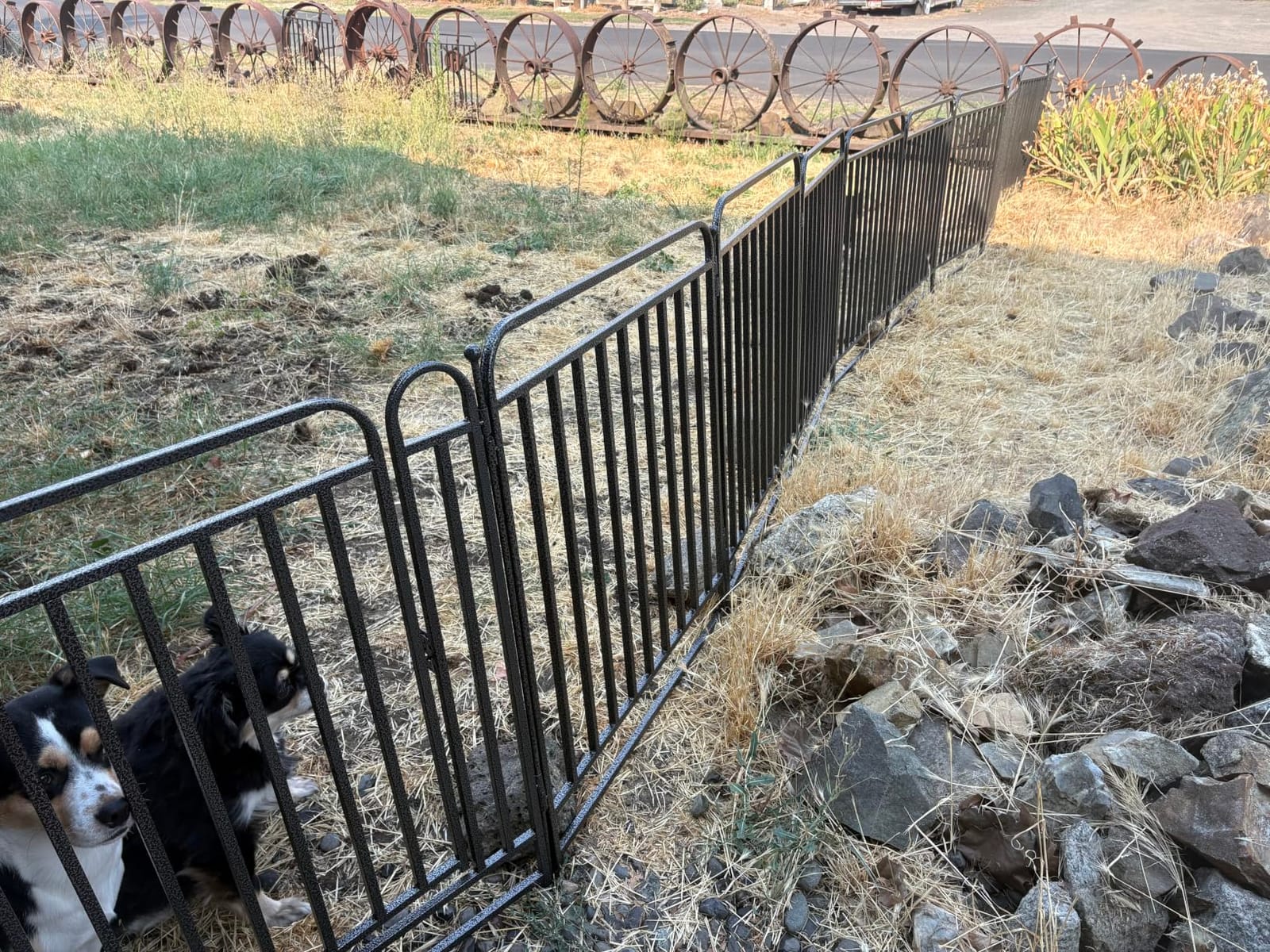 Thickened Dog Playpen Foldable Metal Yard Fence32/40inch Compact Portable Animal Barrier Fence for Indoor Outdoor (Silver, 32''H, 16 Panels-36.8ft(L)-Includes 2 Gates) customer photo 2