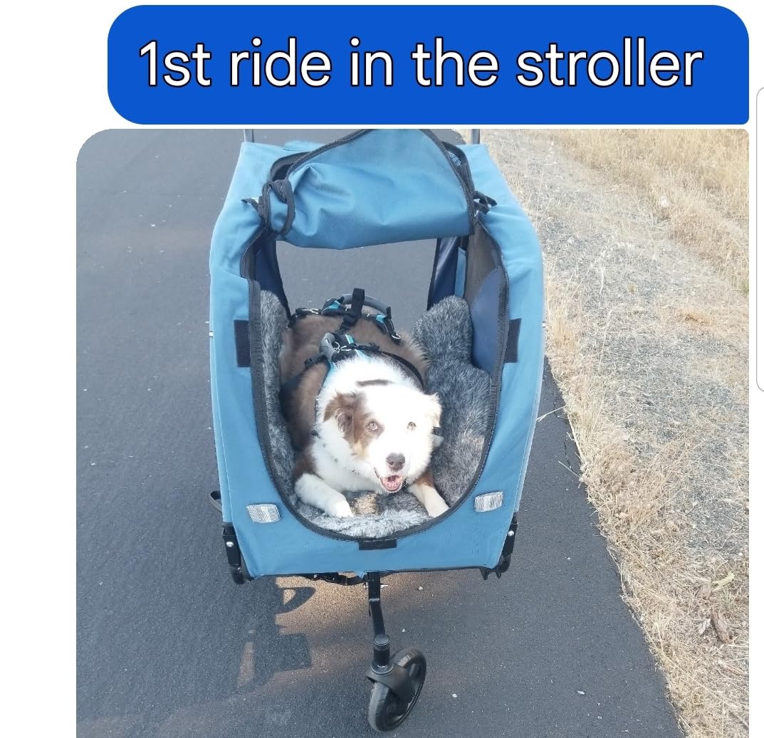 Sepnine Dog Bike Trailer, Supports up to 110 lbs, 2-in-1 Pet Stroller Cart Bicycle Carrier, Easy Folding Cart Frame with Quick Release Wheels, Universal Bicycle Coupler, Non-Slip Floor, Internal Leash customer photo 1