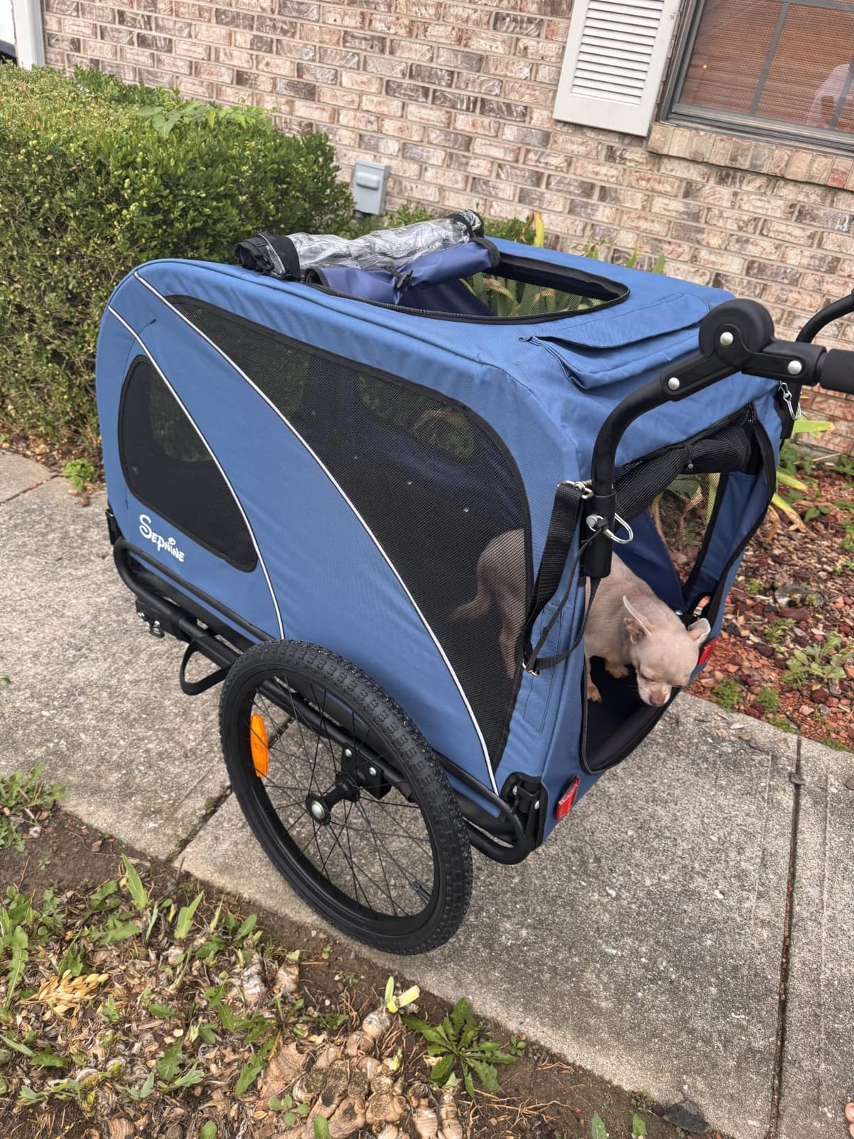 Sepnine Dog Bike Trailer, Supports up to 110 lbs, 2-in-1 Pet Stroller Cart Bicycle Carrier, Easy Folding Cart Frame with Quick Release Wheels, Universal Bicycle Coupler, Non-Slip Floor, Internal Leash customer photo 2