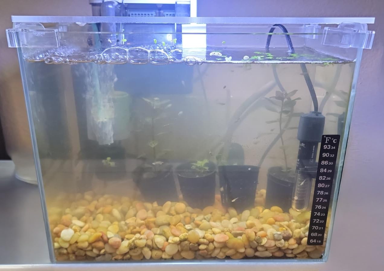 Vimvins 20 Gallon Glass Fish Tank customer photo 2