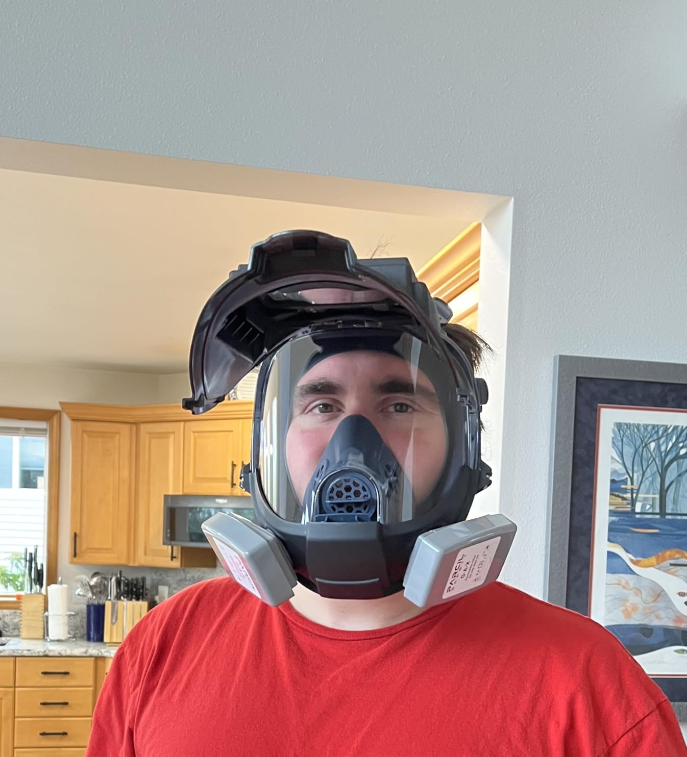 Parcil Distribution WF-101 Auto-Darkening Full Face Welding Respirator Mask customer photo 2