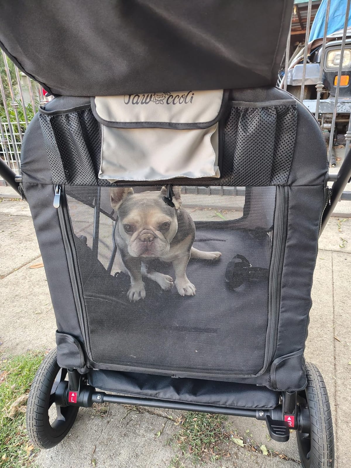 Dog Stroller for Large & Medium Dogs, 4 Wheels Pet Stroller for Large Dogs up to 120lbs, Extra Large Dog Stroller with Foldable Design, Sun Shades, Storage Pocket, Breathable Mesh customer photo 1