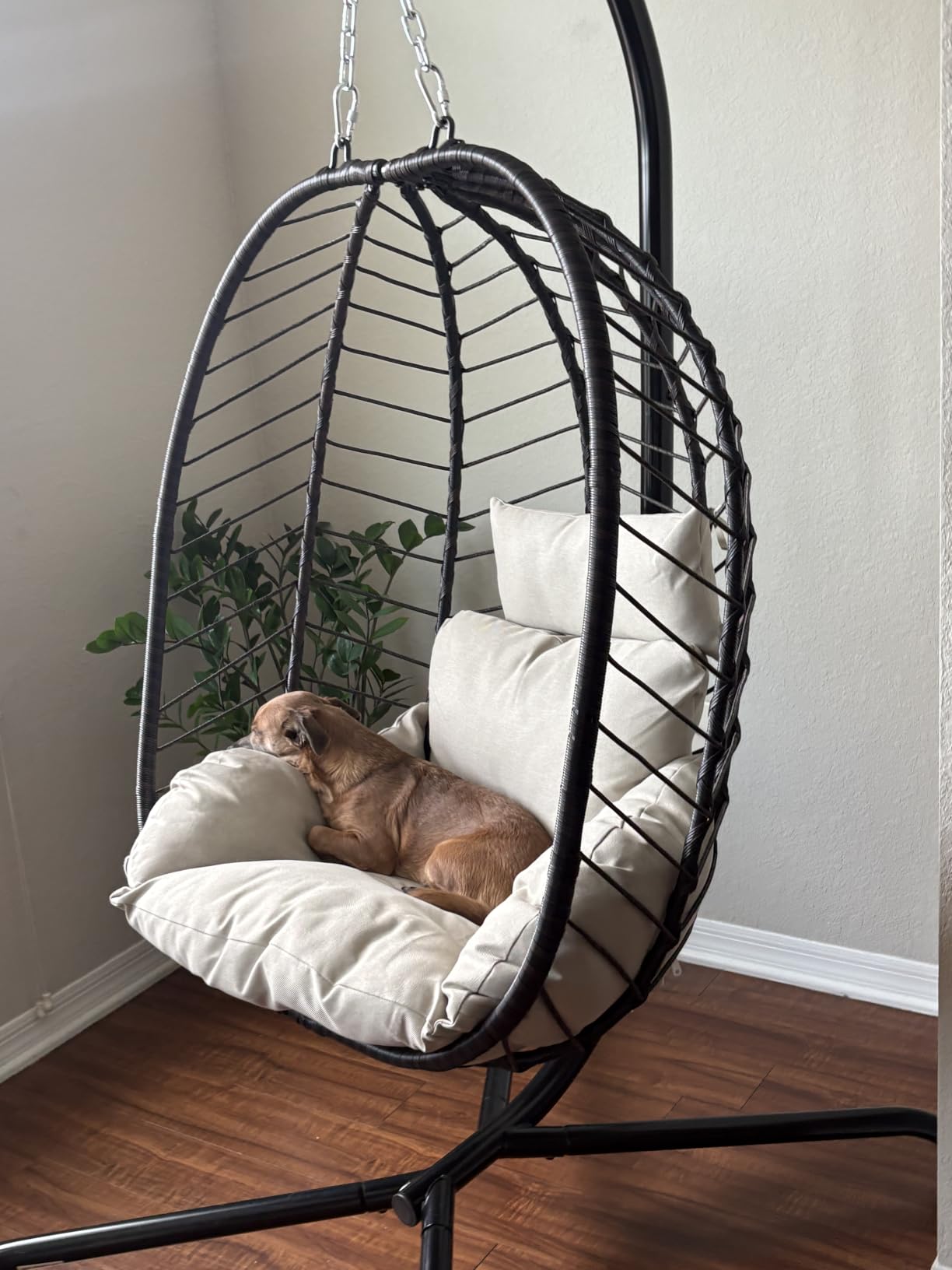 ALAULM Foldable Egg Chair with Stand, 485LBS Capacity Wicker Rattan Hammock Swing Chair for Outdoor & Indoor, Hanging Chair with Strong Frame & UV Resistant Cushion for Balcony, Bedroom, Light Gray customer photo 2