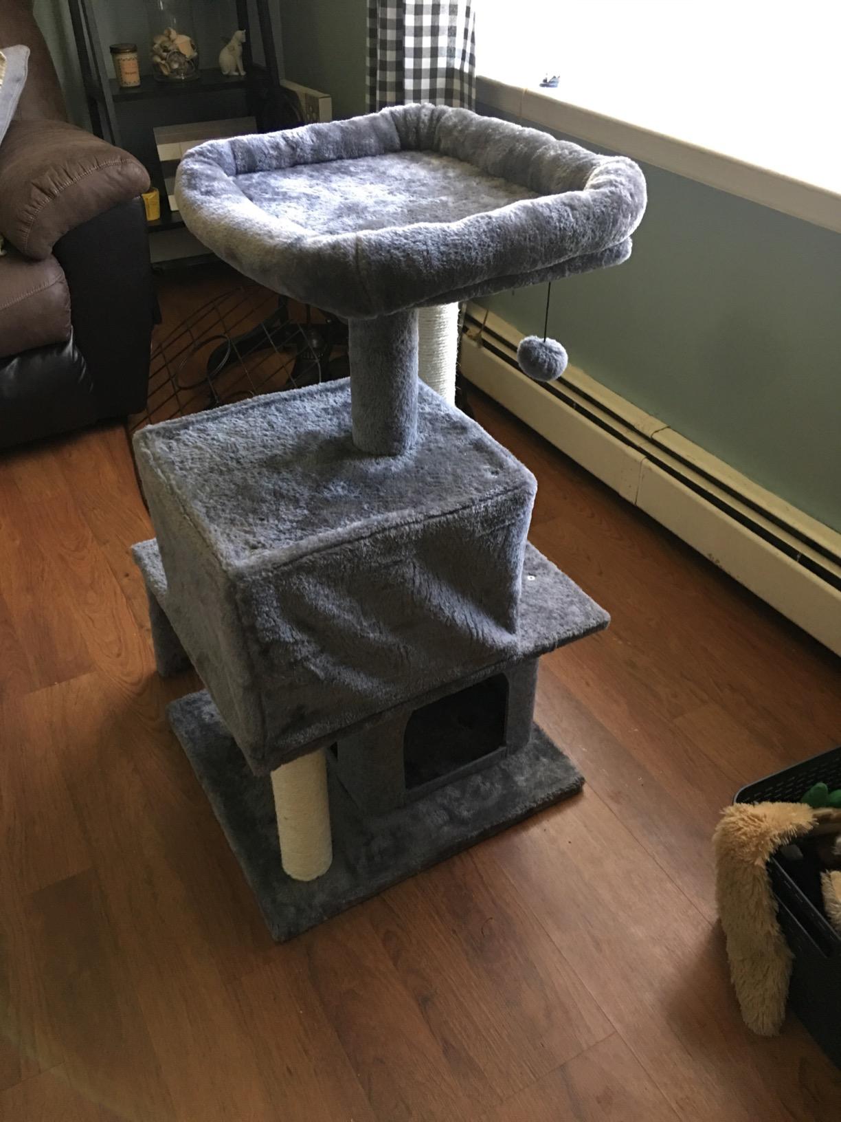 PAWZ Road Large Cat Tree, 45