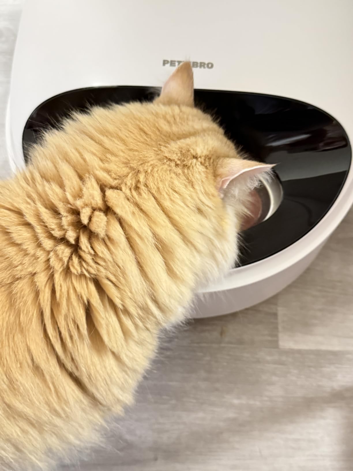 PETLIBRO Automatic Wet Cat Feeder with Refrigeration 2026 New Verision, App-Controlled Cat Food Dispenser with Semiconductor Cooling, 3 Fresh Meals for 3 Days, Stainless Steel Bowl,White customer photo 1